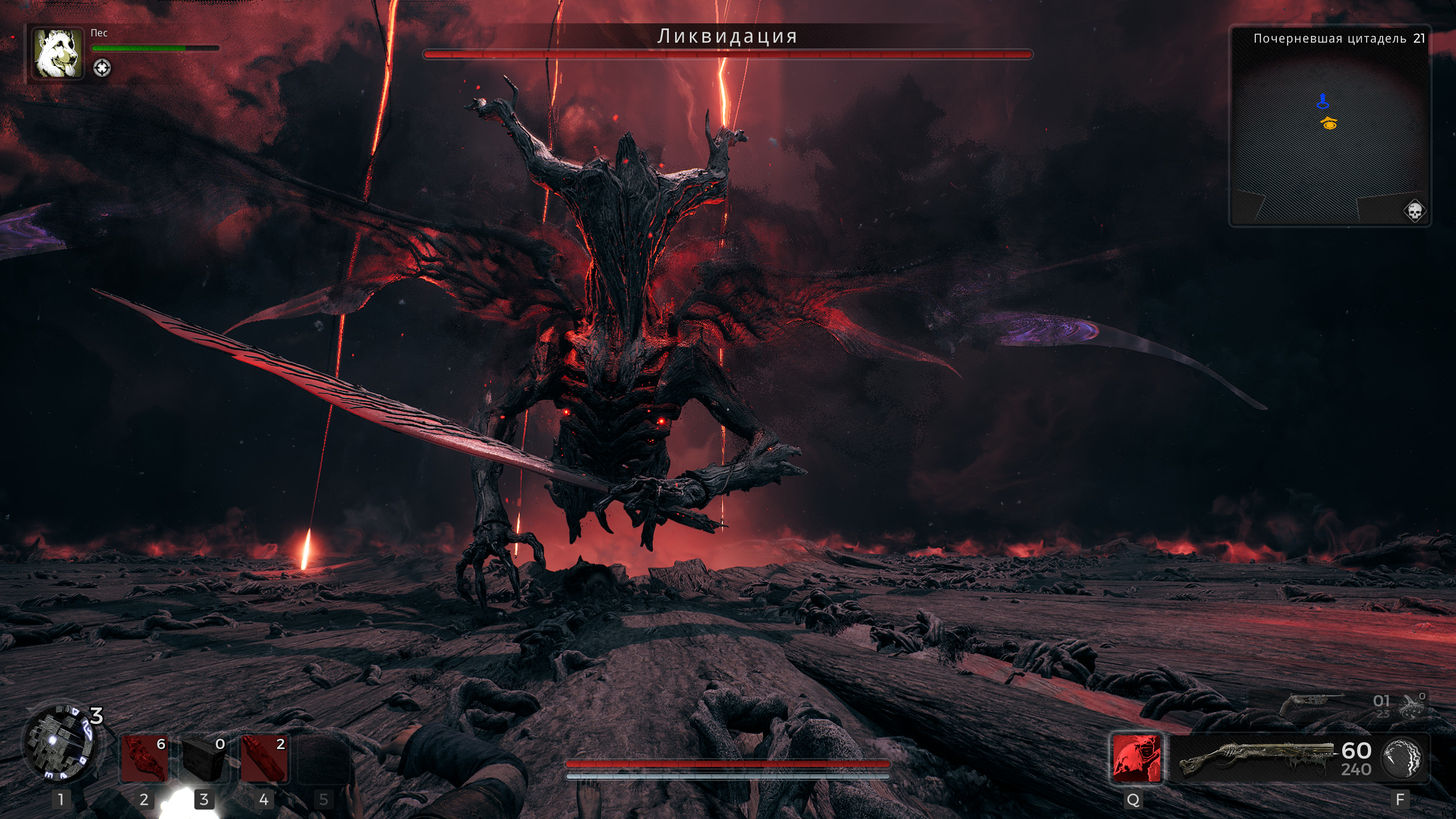 免费照片余数II9