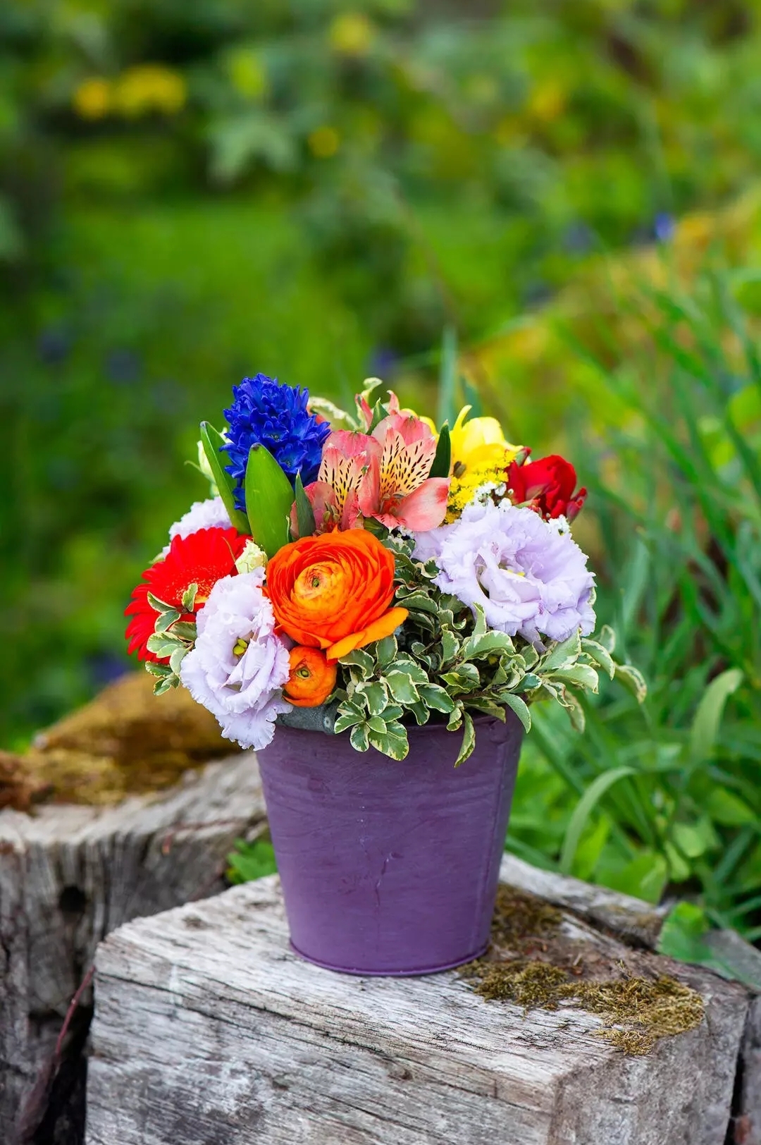 Бесплатное фото Фрезии и другая декоративная зелень в кашпо