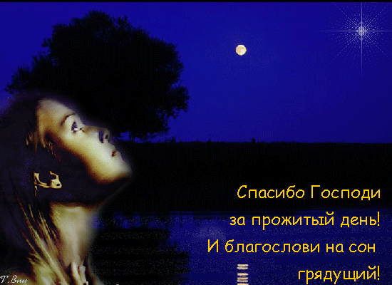 主题为晚安 晚上 明信片的明信片免费下载