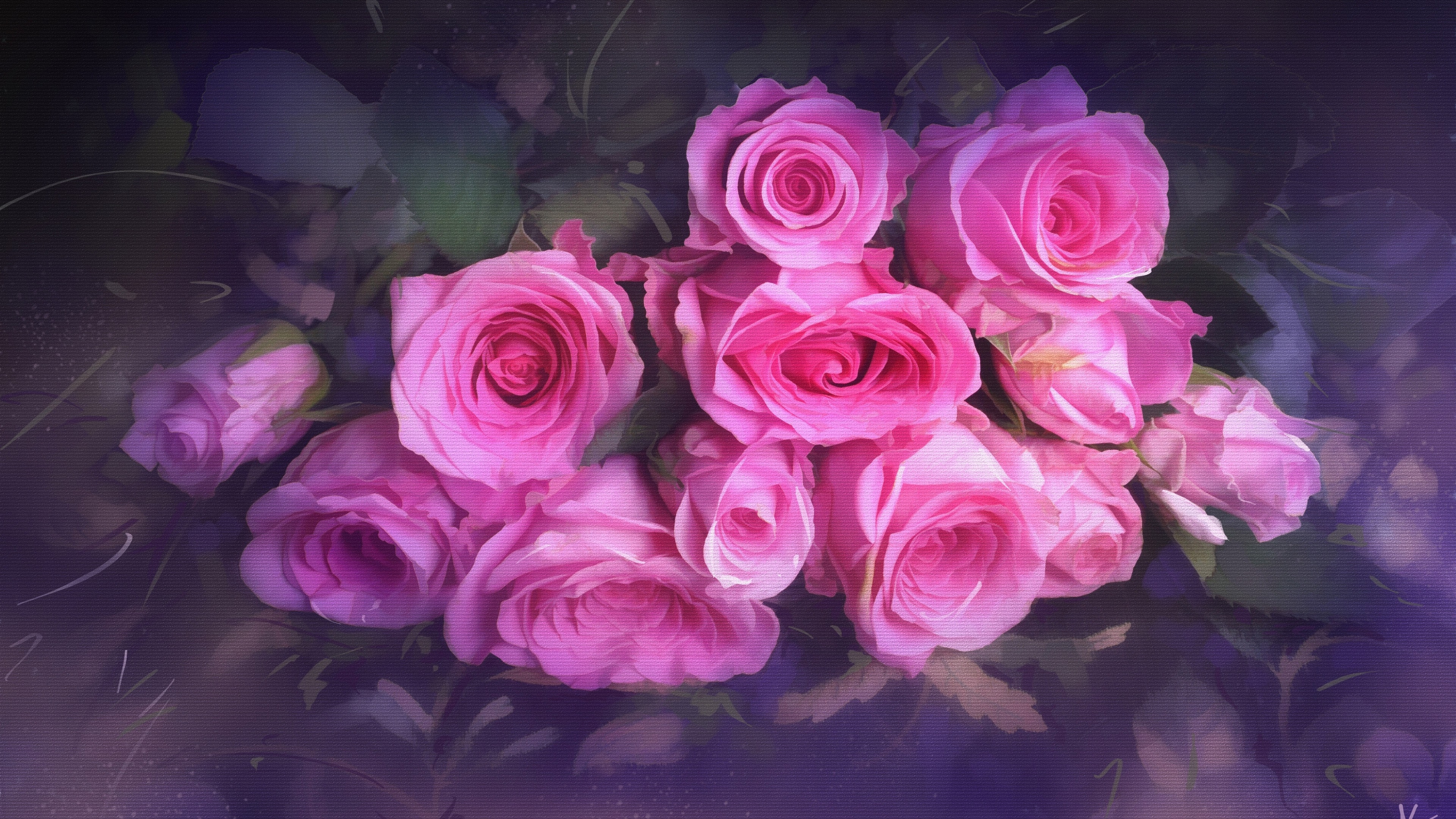 一束色彩斑斓的美丽粉色玫瑰花