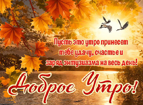 主题为秋晨 鸟类 文本的明信片免费下载