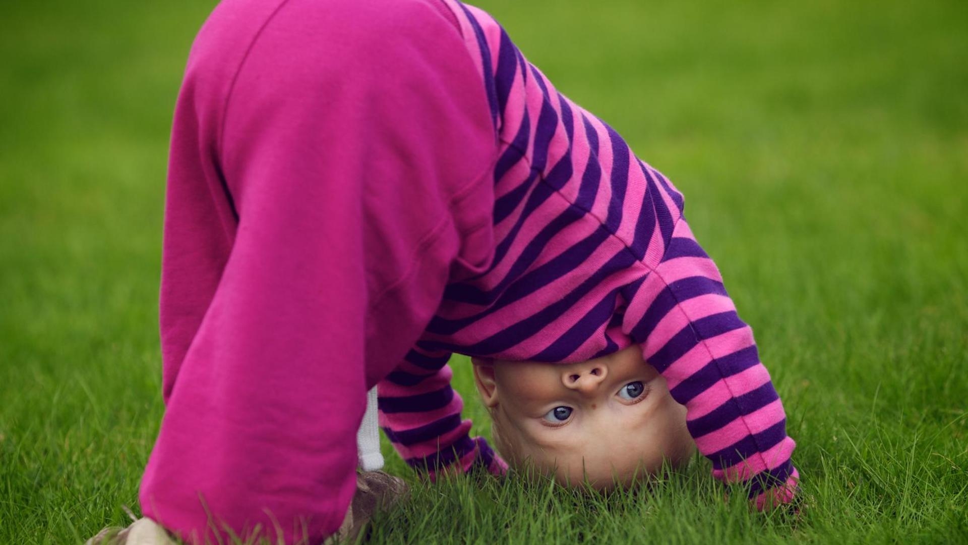 Обои трава платье зелёный на рабочий стол