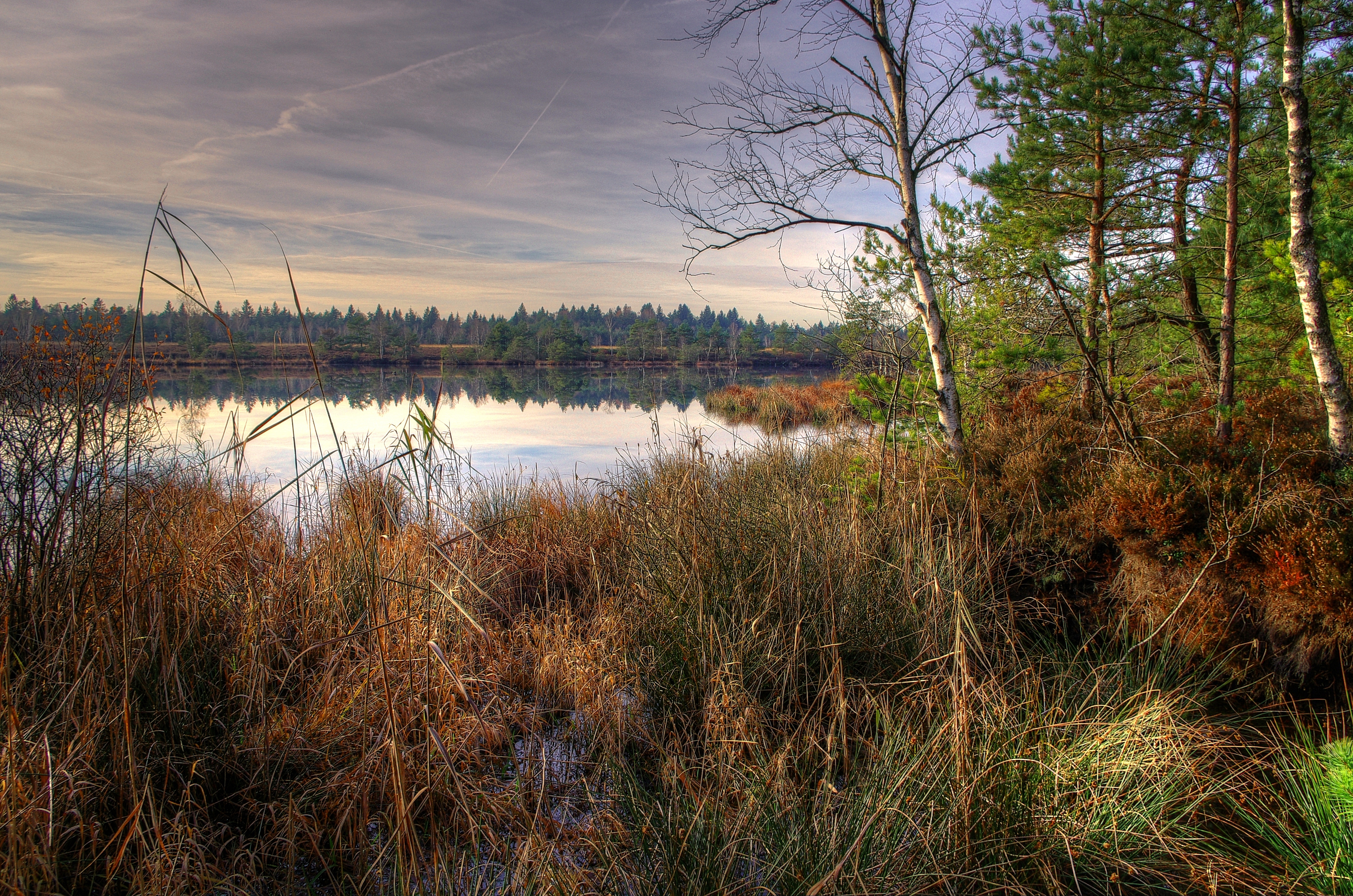 Wallpapers reflection landscape rural areas on the desktop