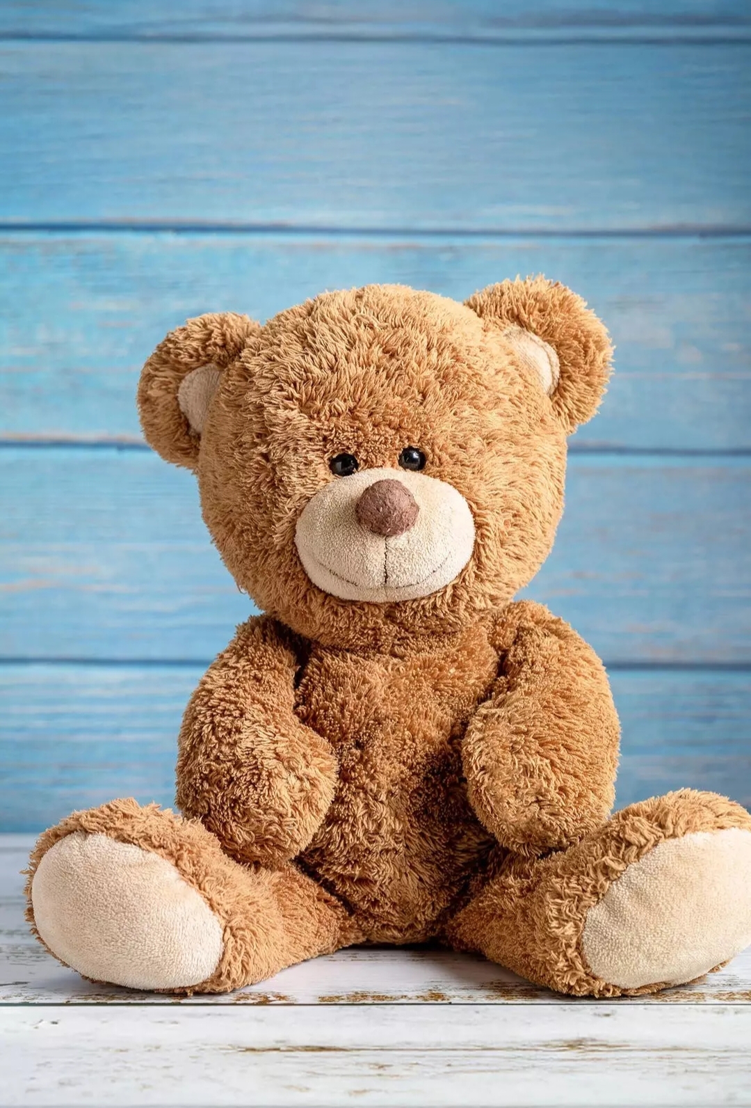 免费照片经典泰迪熊