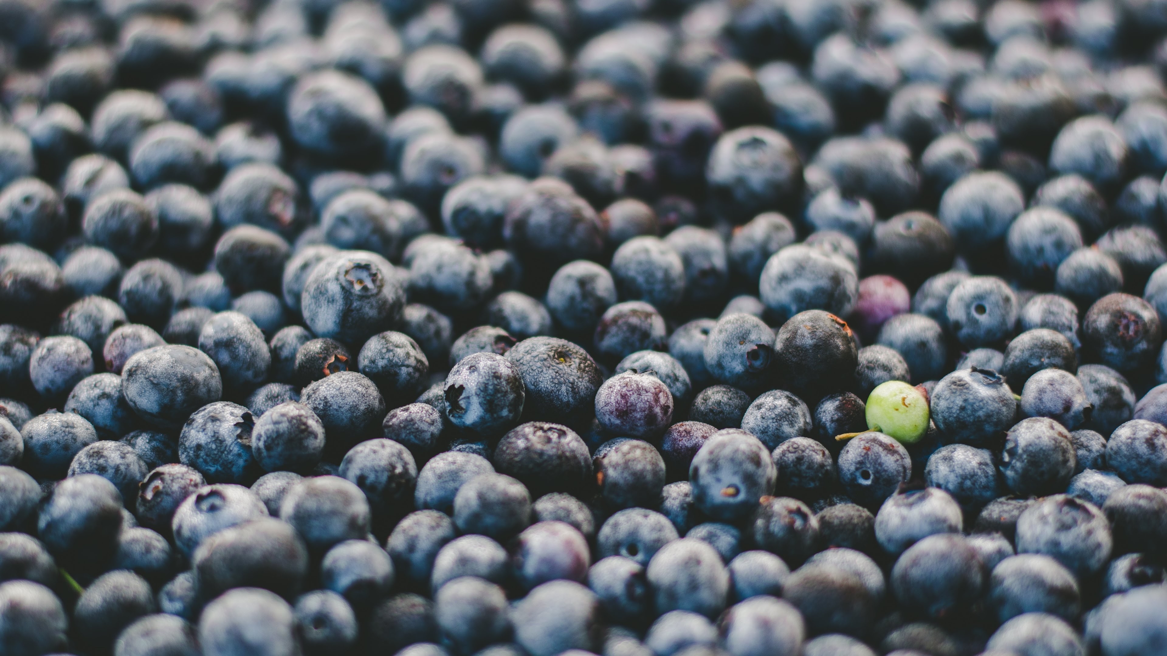 Basket with black blueberries