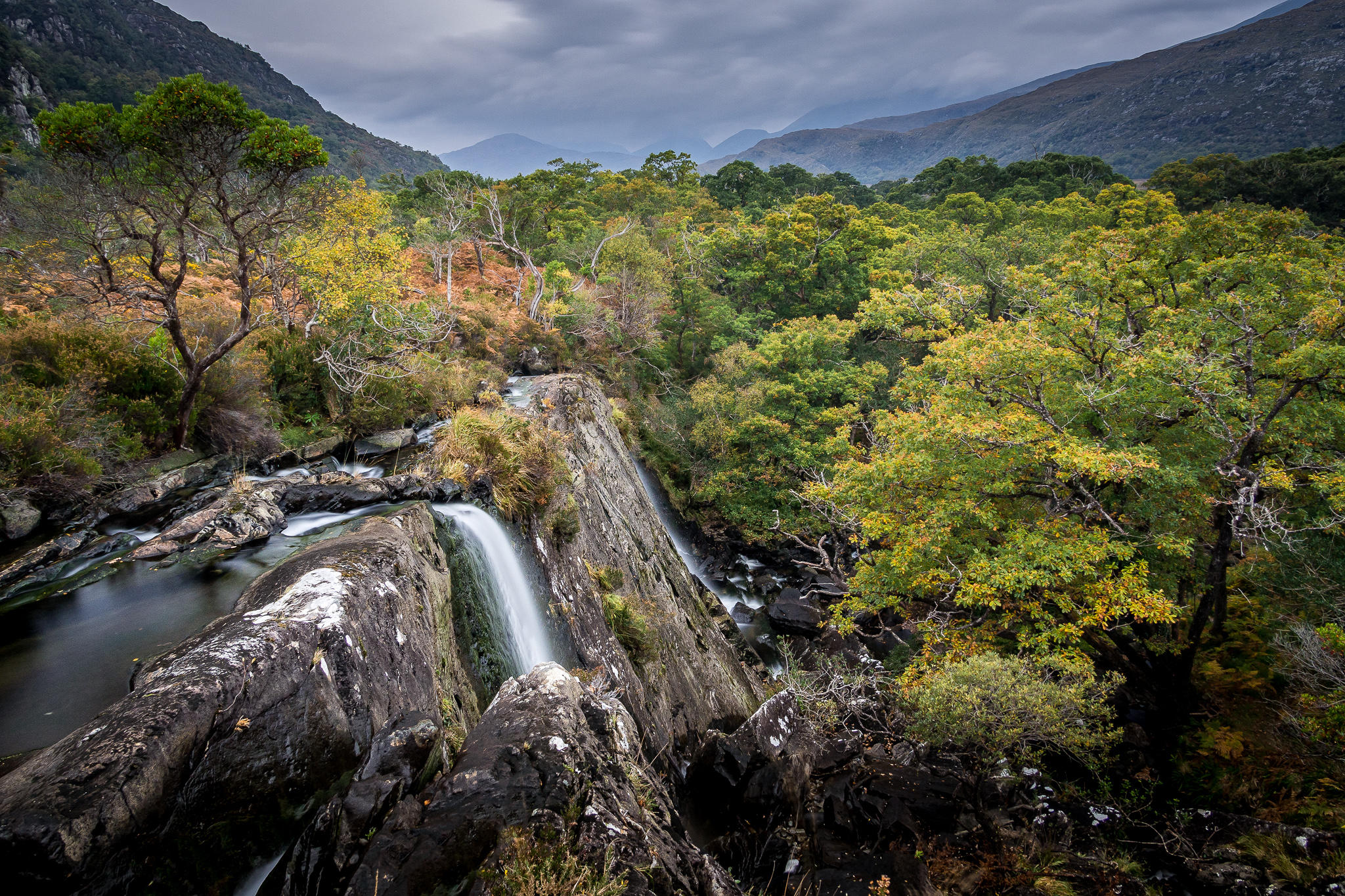 Wallpapers County Kerry Reception Crinagh Killarney on the desktop