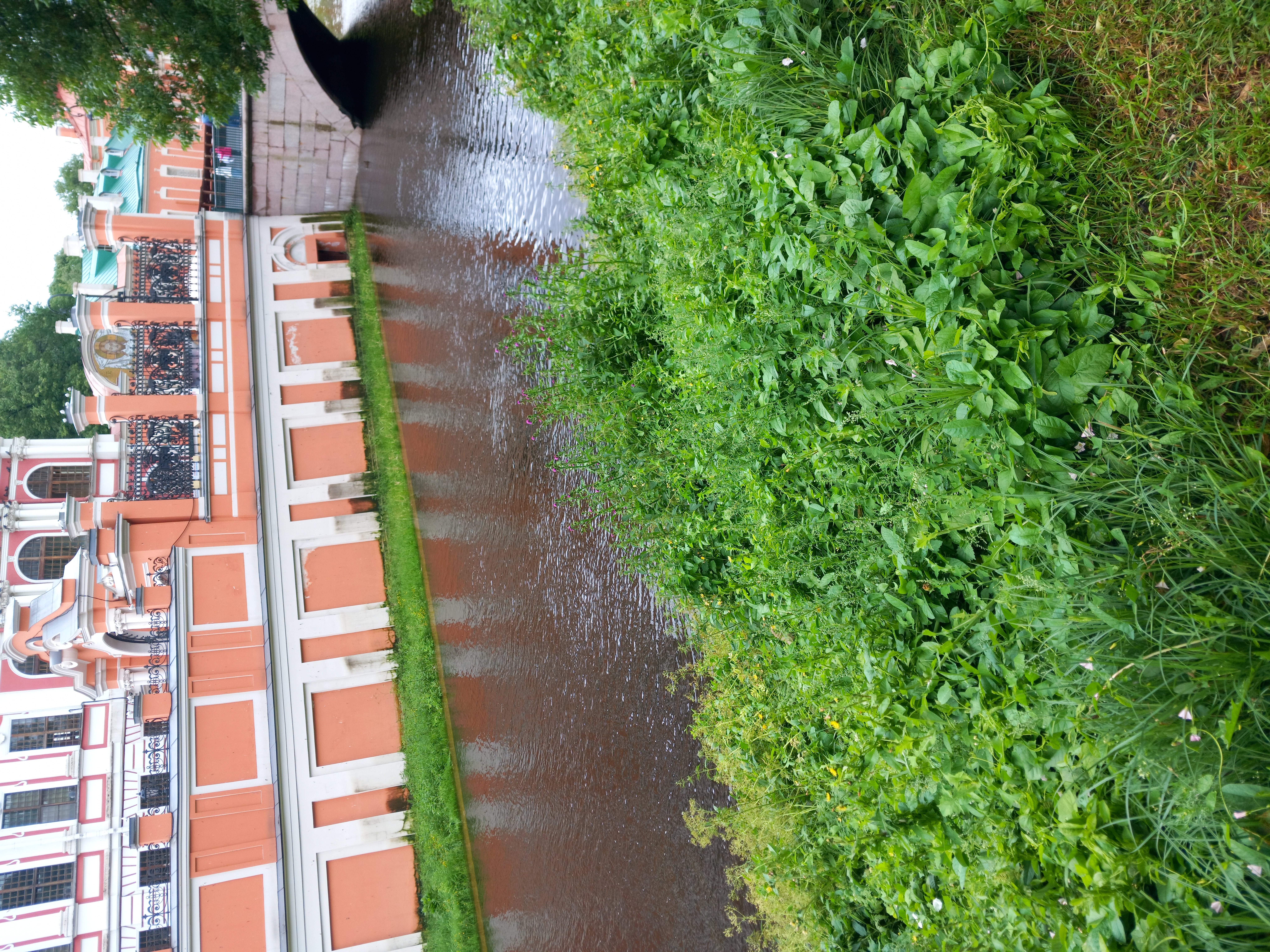 免费照片彼得堡的小河