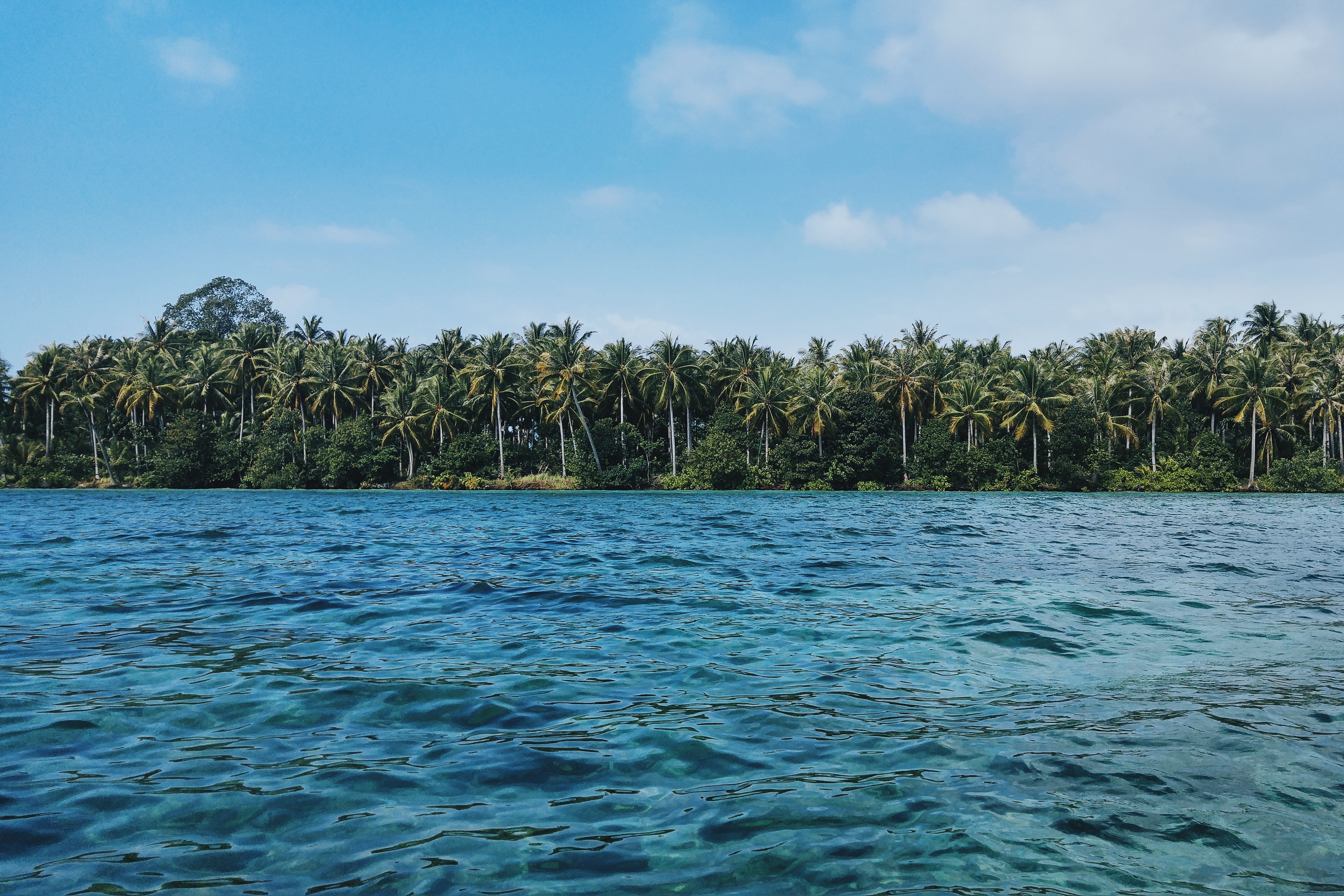 免费照片一个岛屿上的棕榈树环绕的海岸线