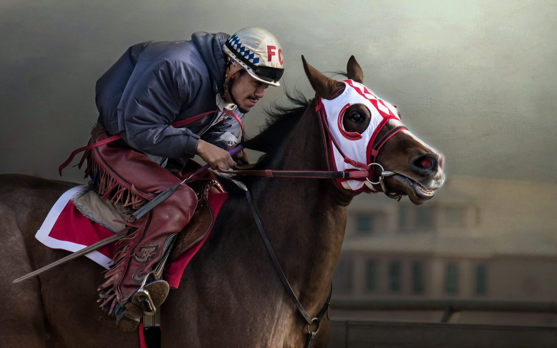 Wallpapers horse race horse jockey on the desktop