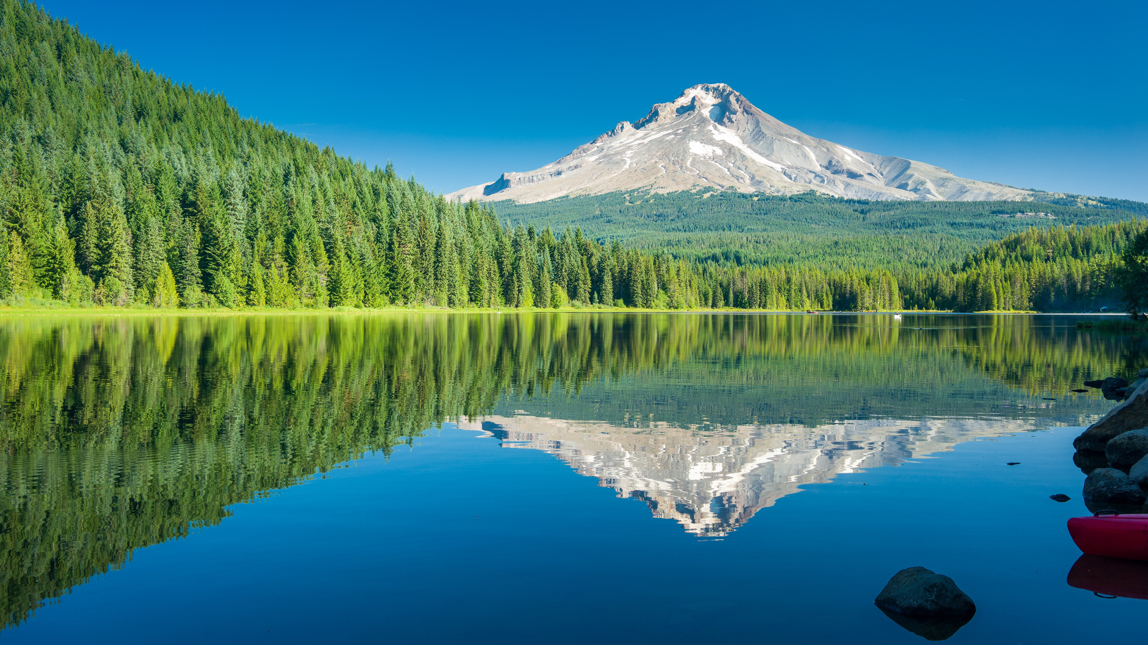 Free photo A small lake bounded by coniferous green trees