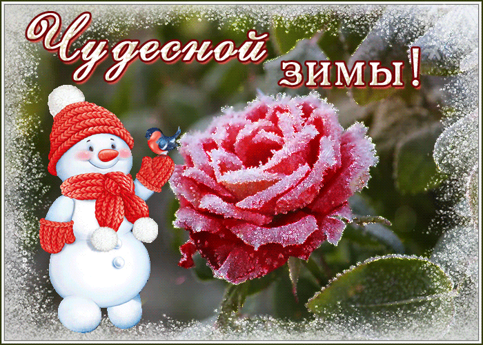 Открытка на тему креативная чудесной зимы мороз роза скачать бесплатно