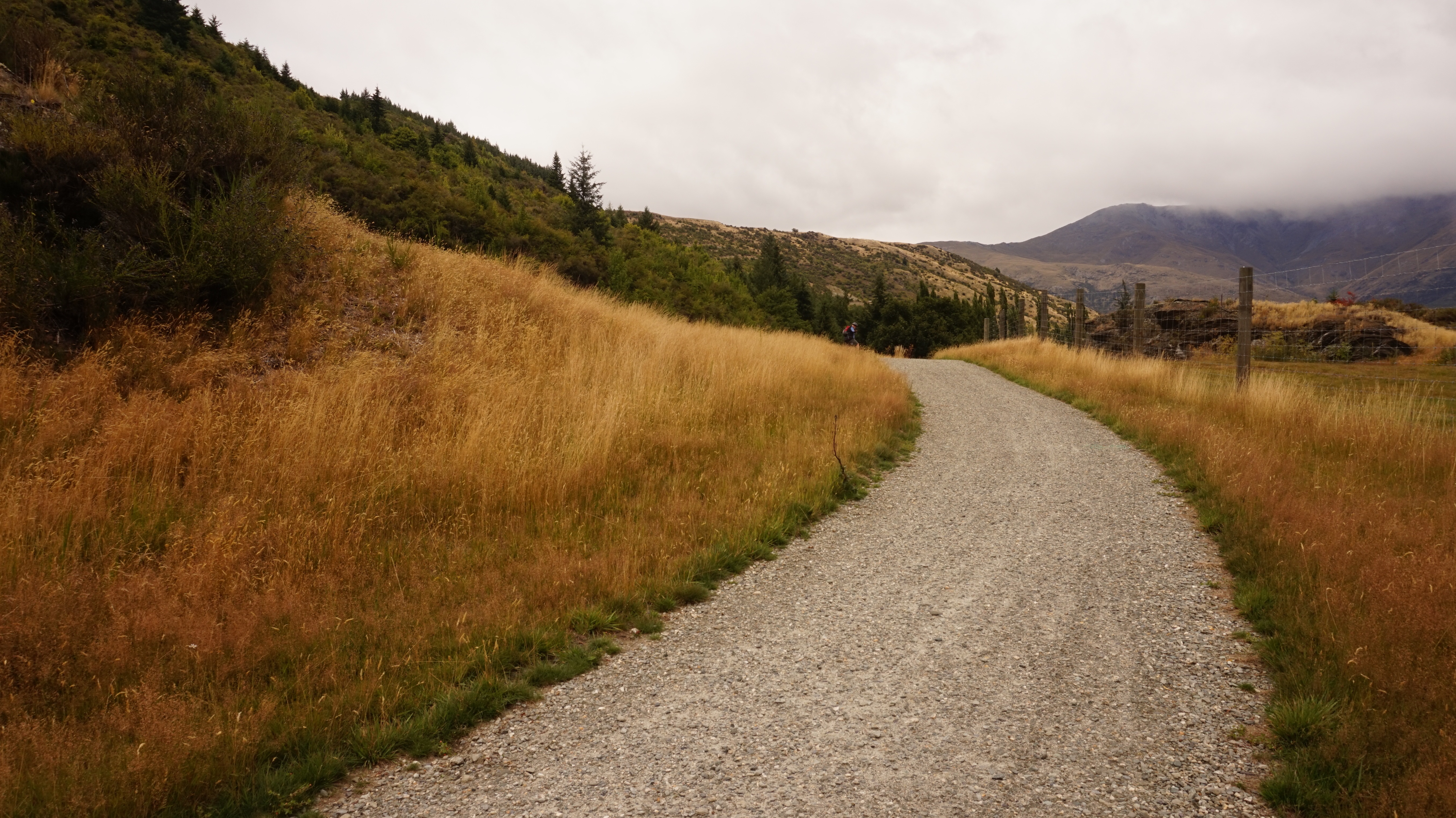 Free photo A walk on a gravel road