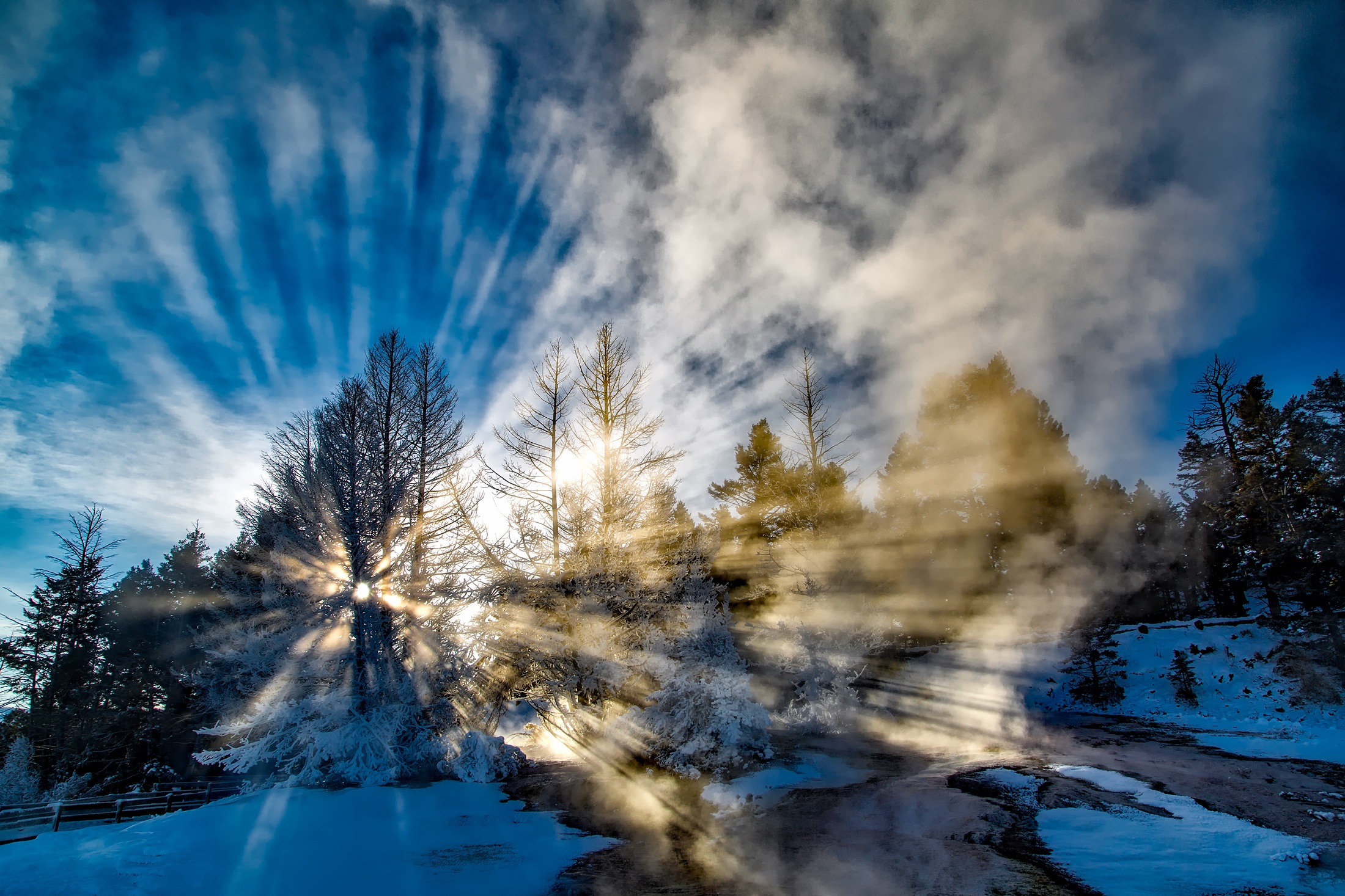 Free photo Sunlight in the fog in nature