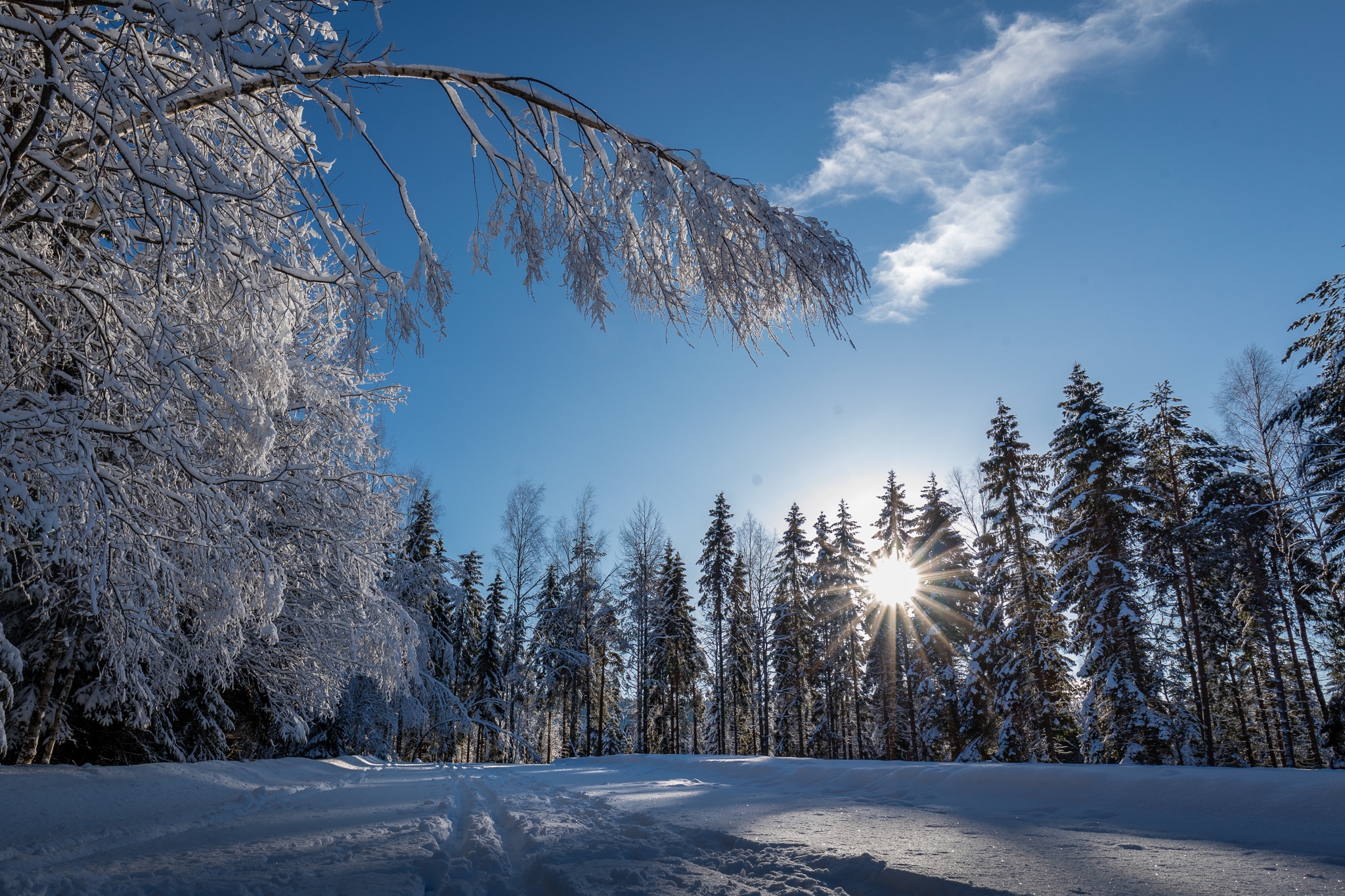 桌面上的壁纸雪崩 景观 树木