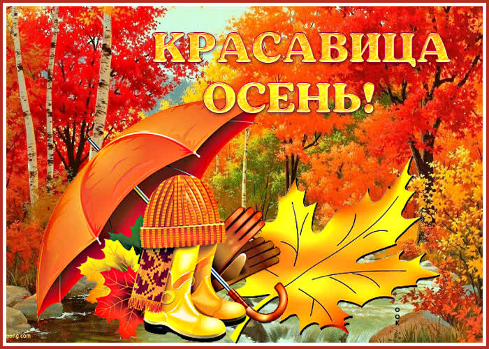 一张以秋色宜人 自然 树叶为主题的明信片