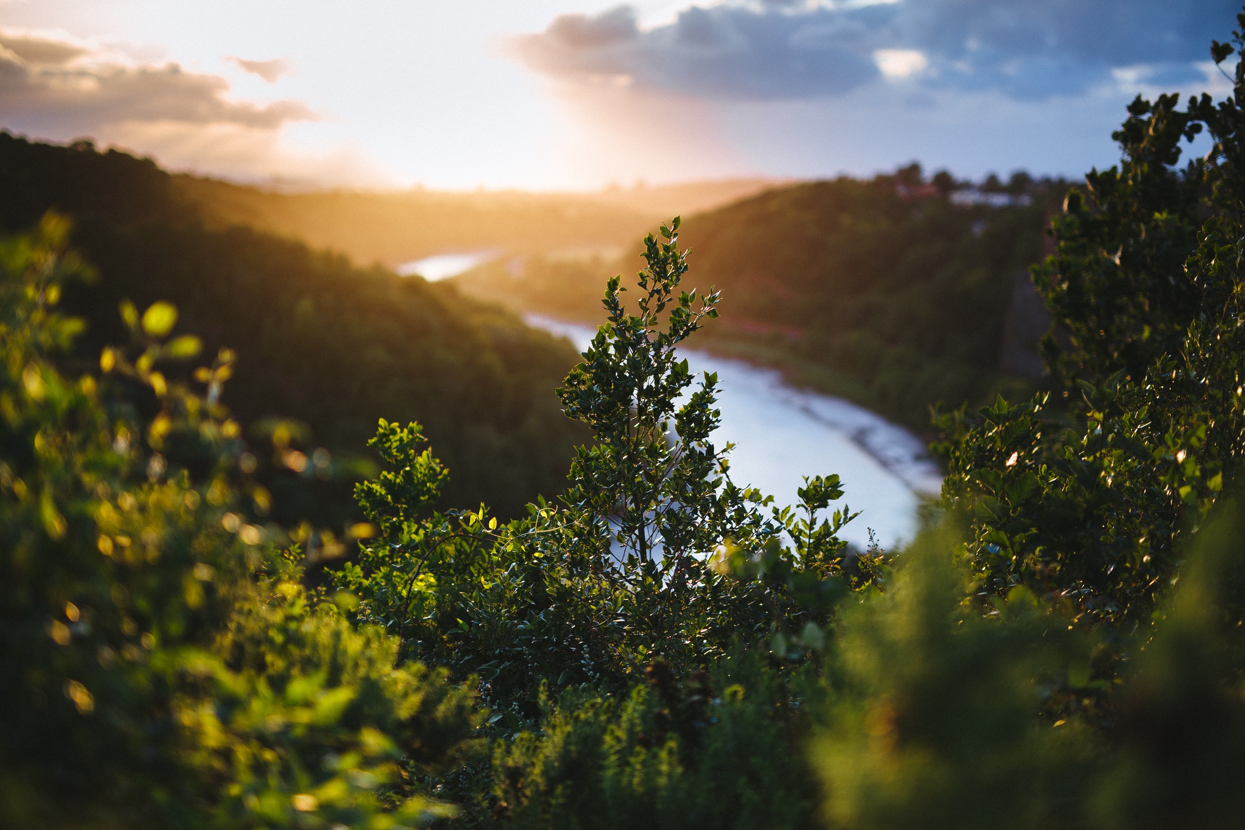 Wallpapers meadow sun light river on the desktop