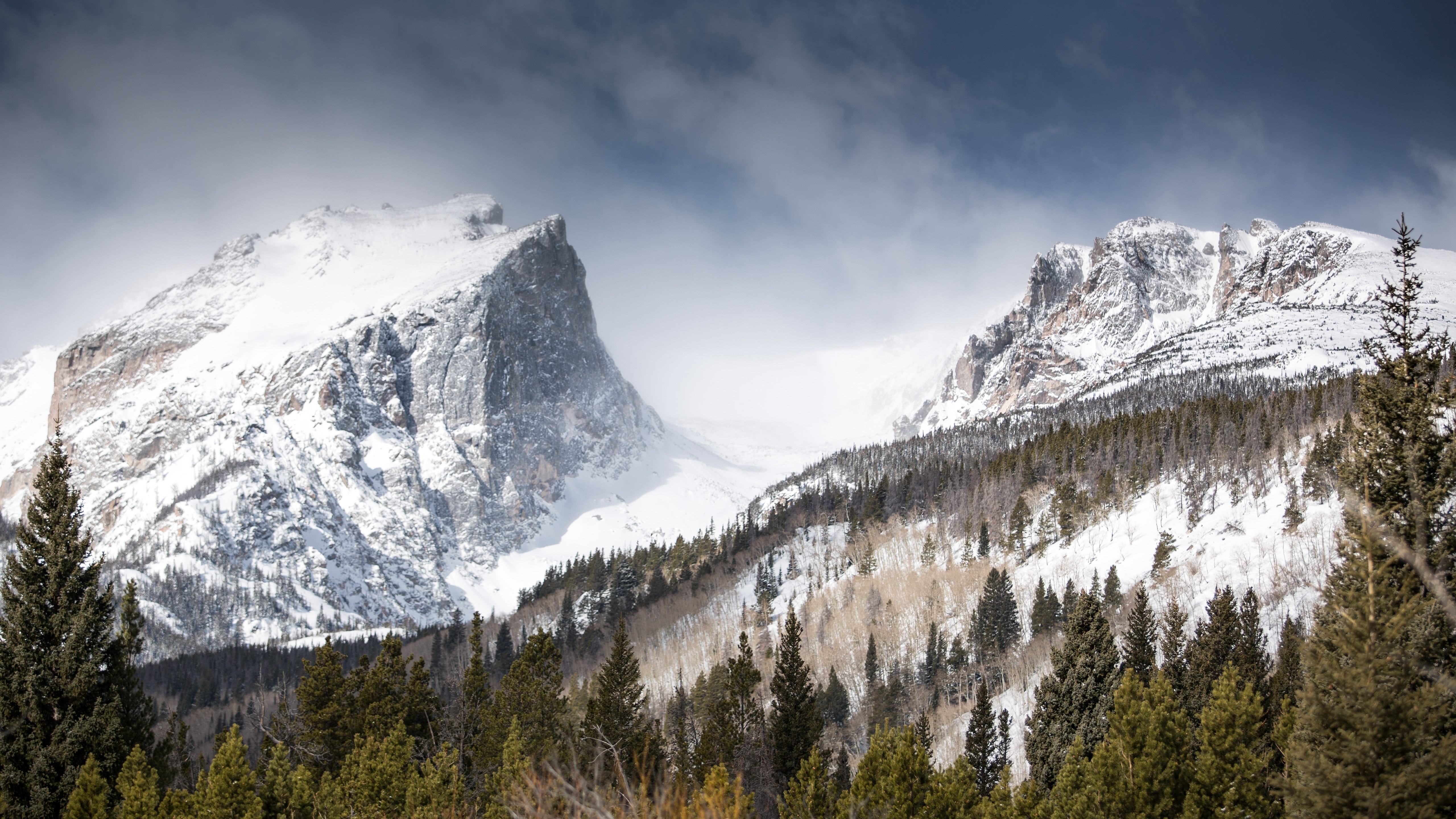 Wallpapers trees sky mountains on the desktop