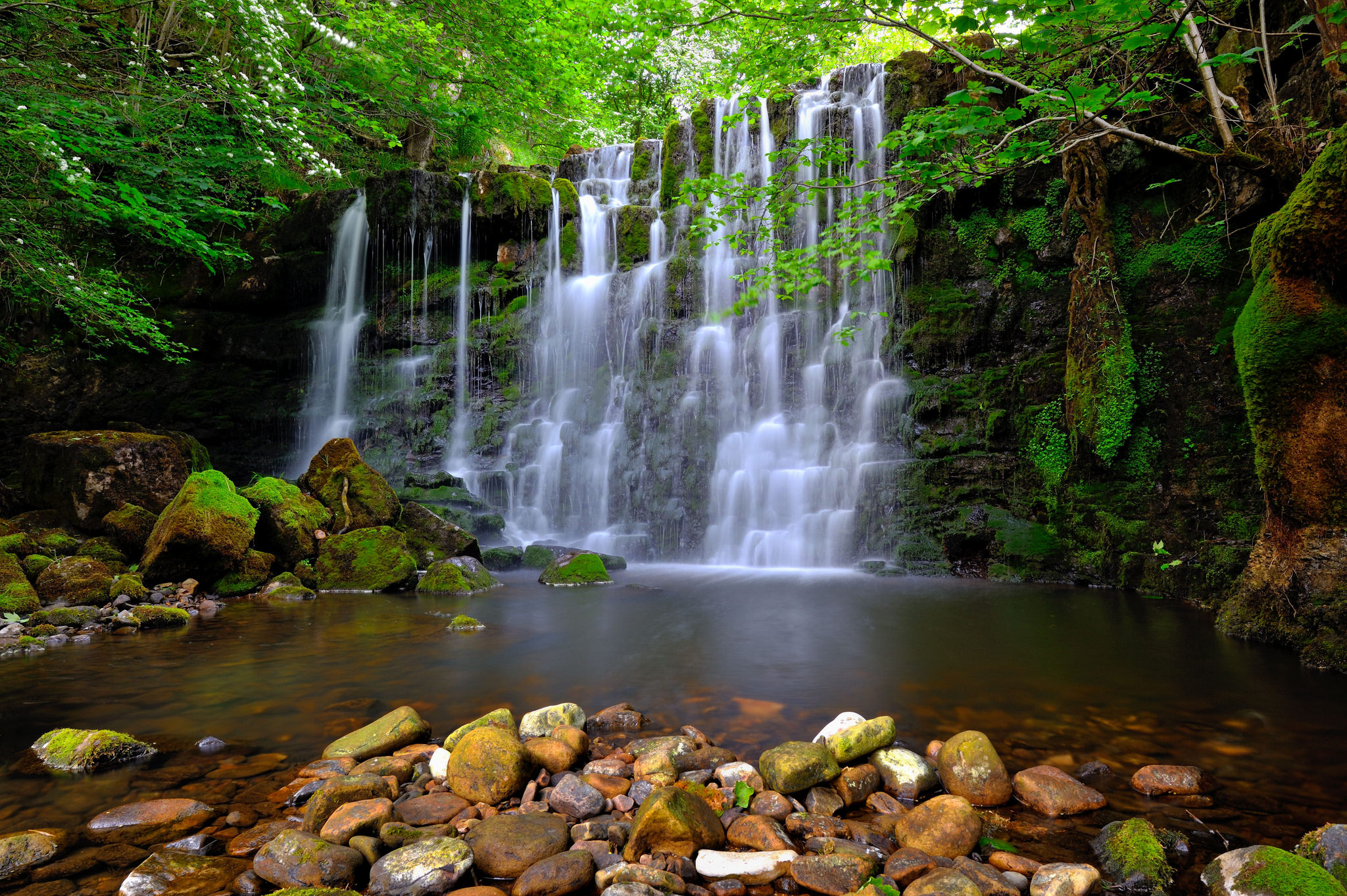 Wallpapers landscape stones in the water nature on the desktop