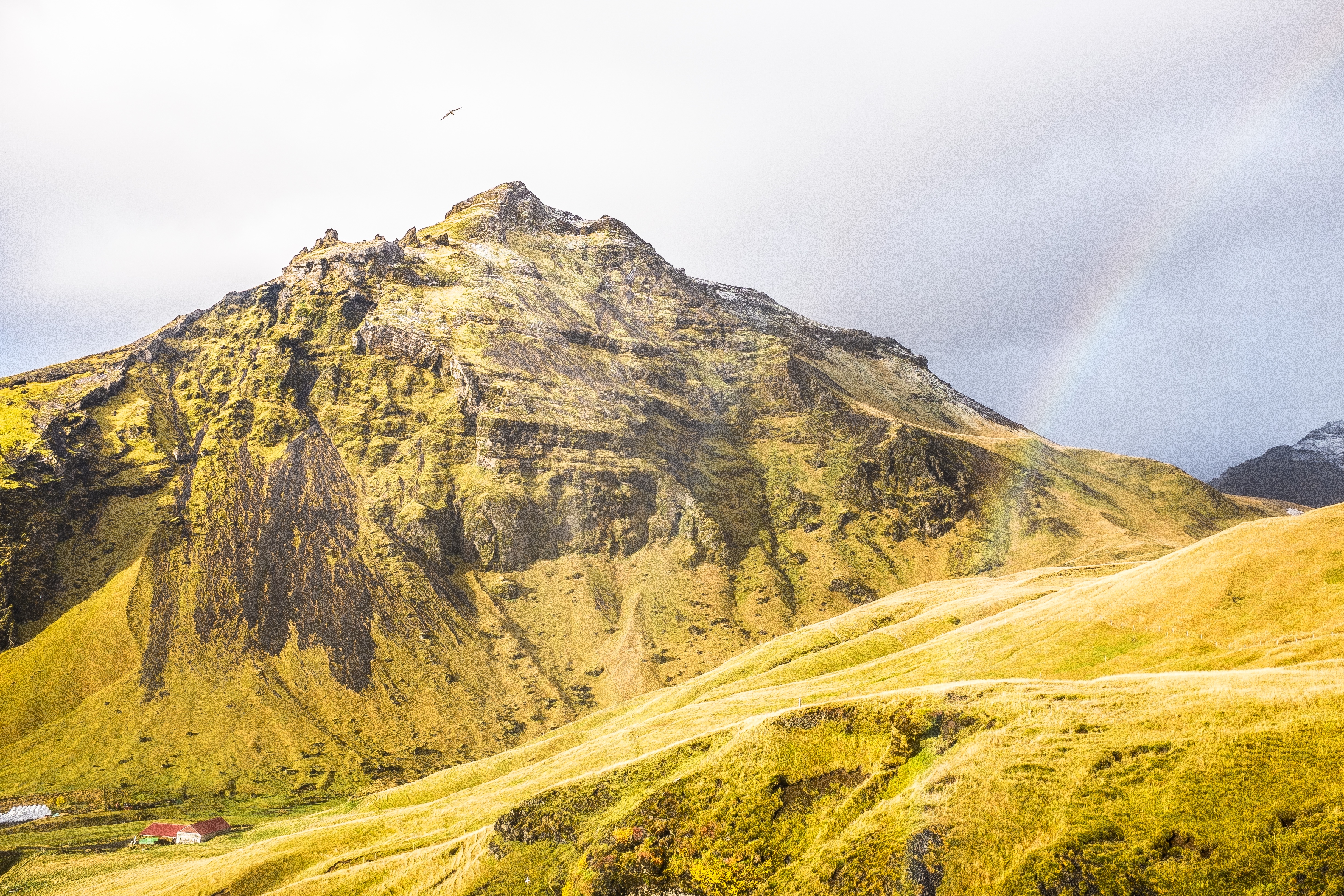Free photo A rainbow near a mountain with a bird soaring above it