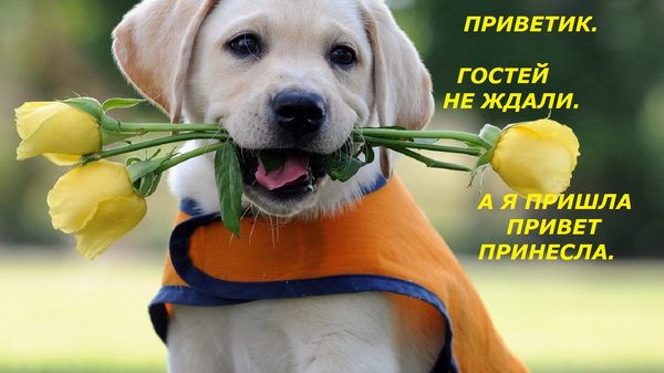 Открытка на тему для тебя открытки на разные темы бесплатно еда скачать бесплатно