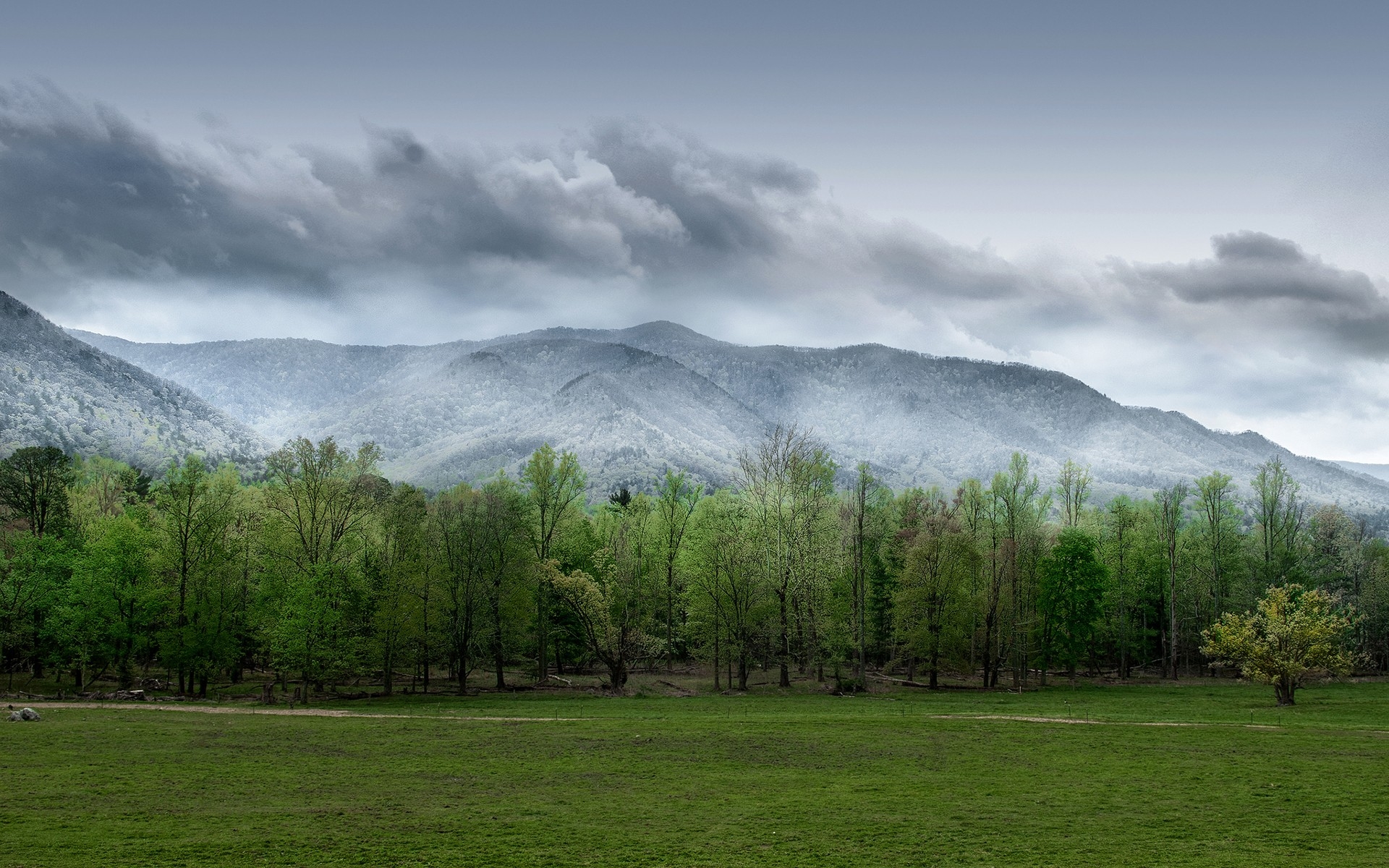 桌面上的壁纸领域 草地 天空