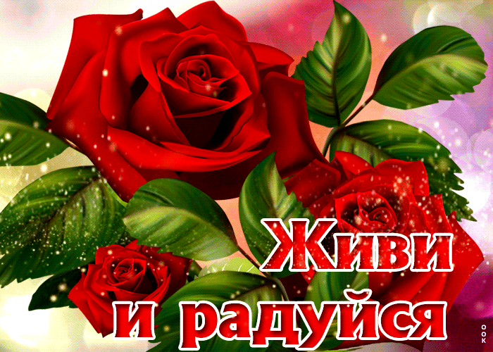 Открытка на тему креативная с розами красные розы живи и радуйся скачать бесплатно