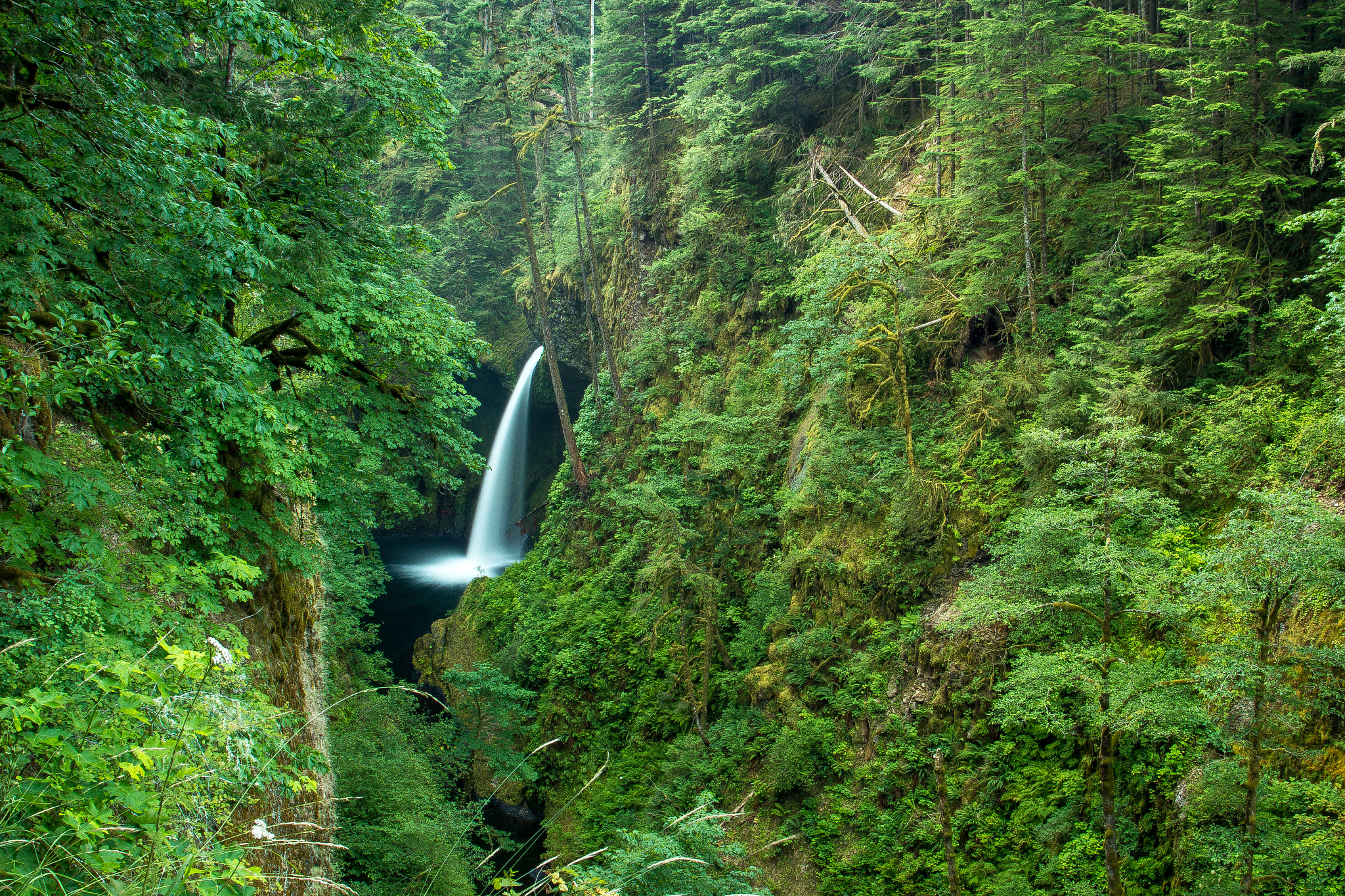 Wallpapers Metlako Falls Columbia River Gorge waterfall on the desktop