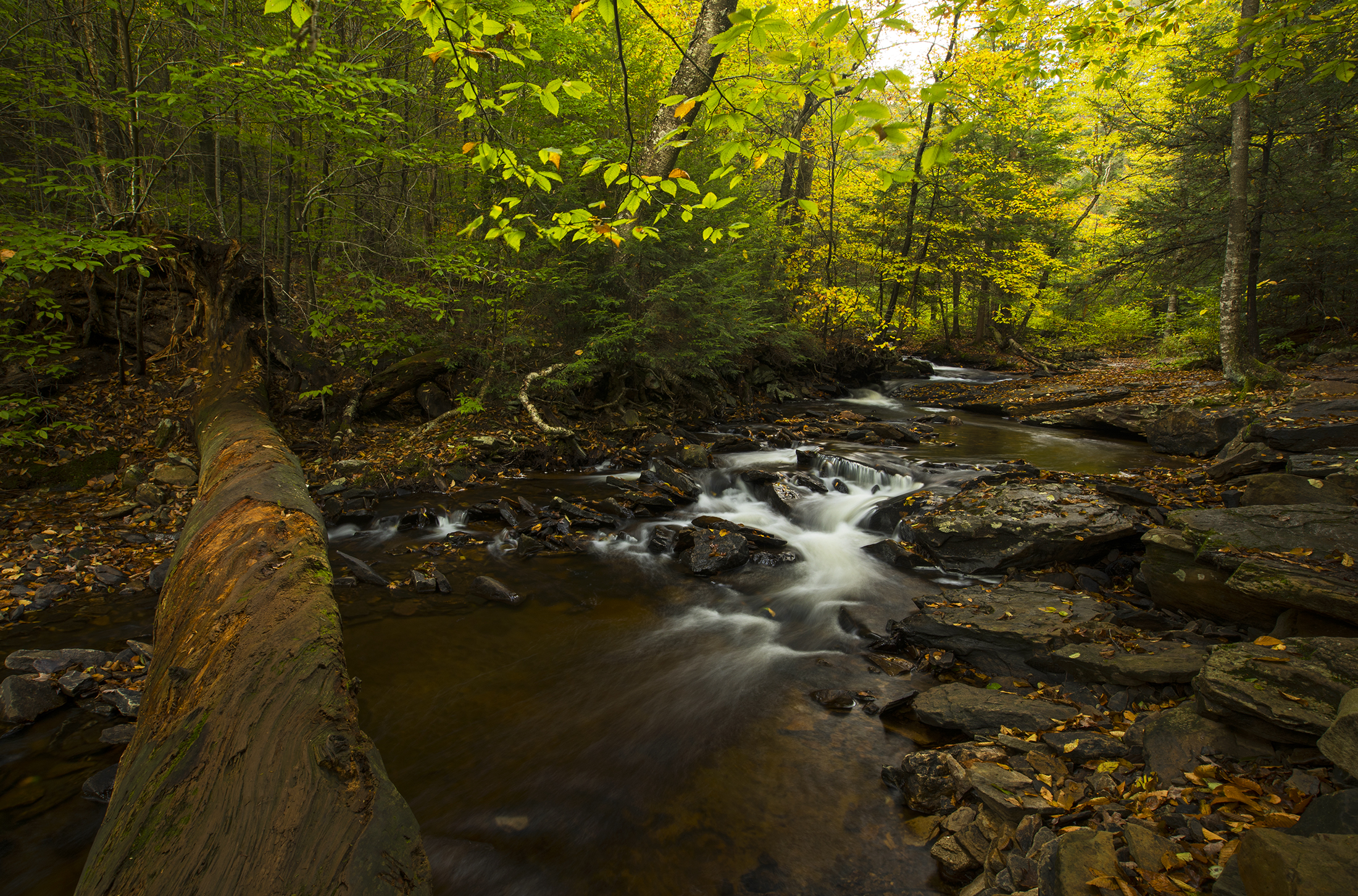 Wallpapers stones landscape autumn on the desktop