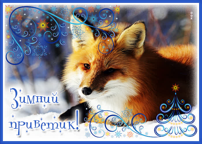 一张以冬季你好 狐狸 文本为主题的明信片