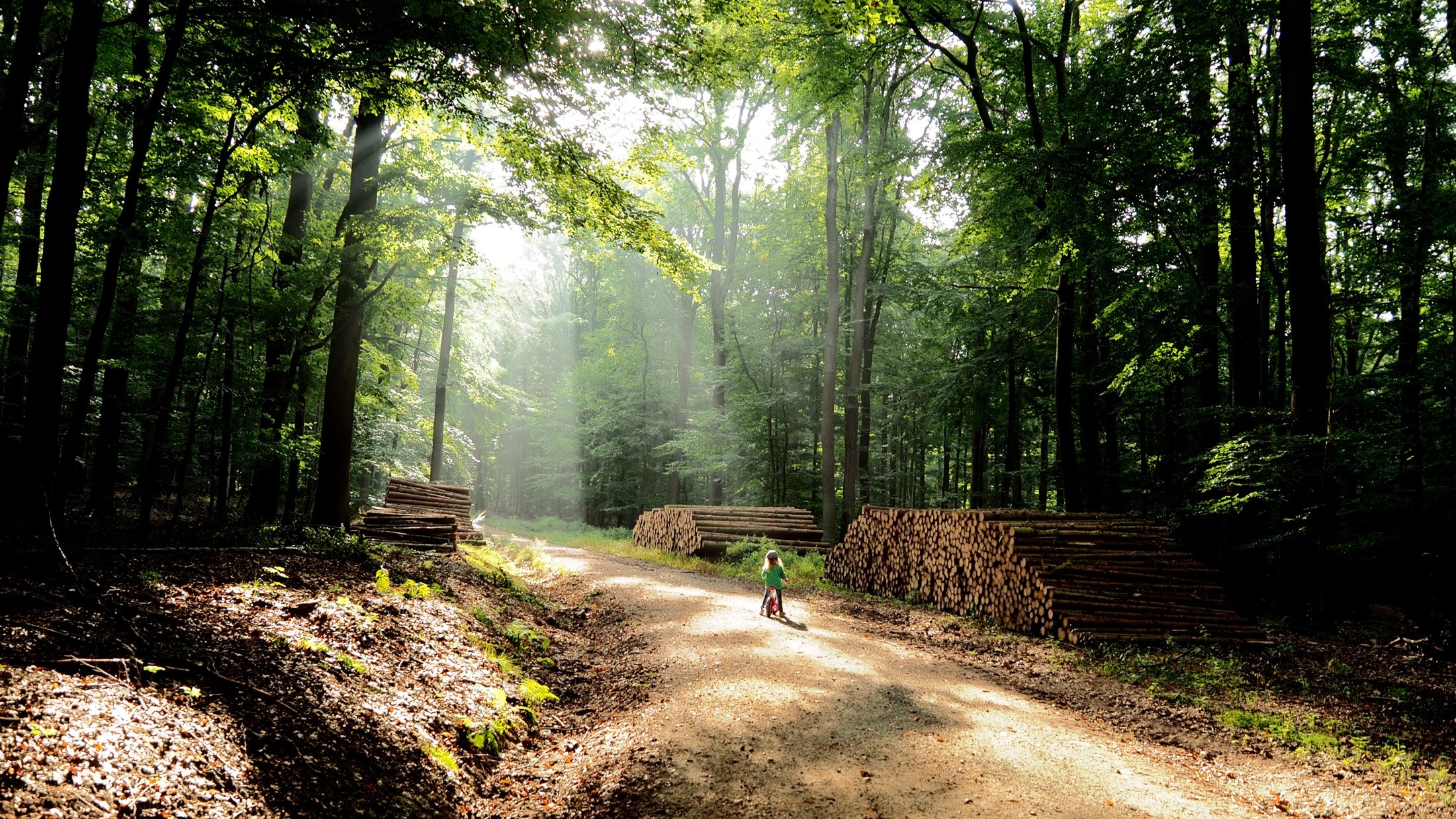 Детство в лесу