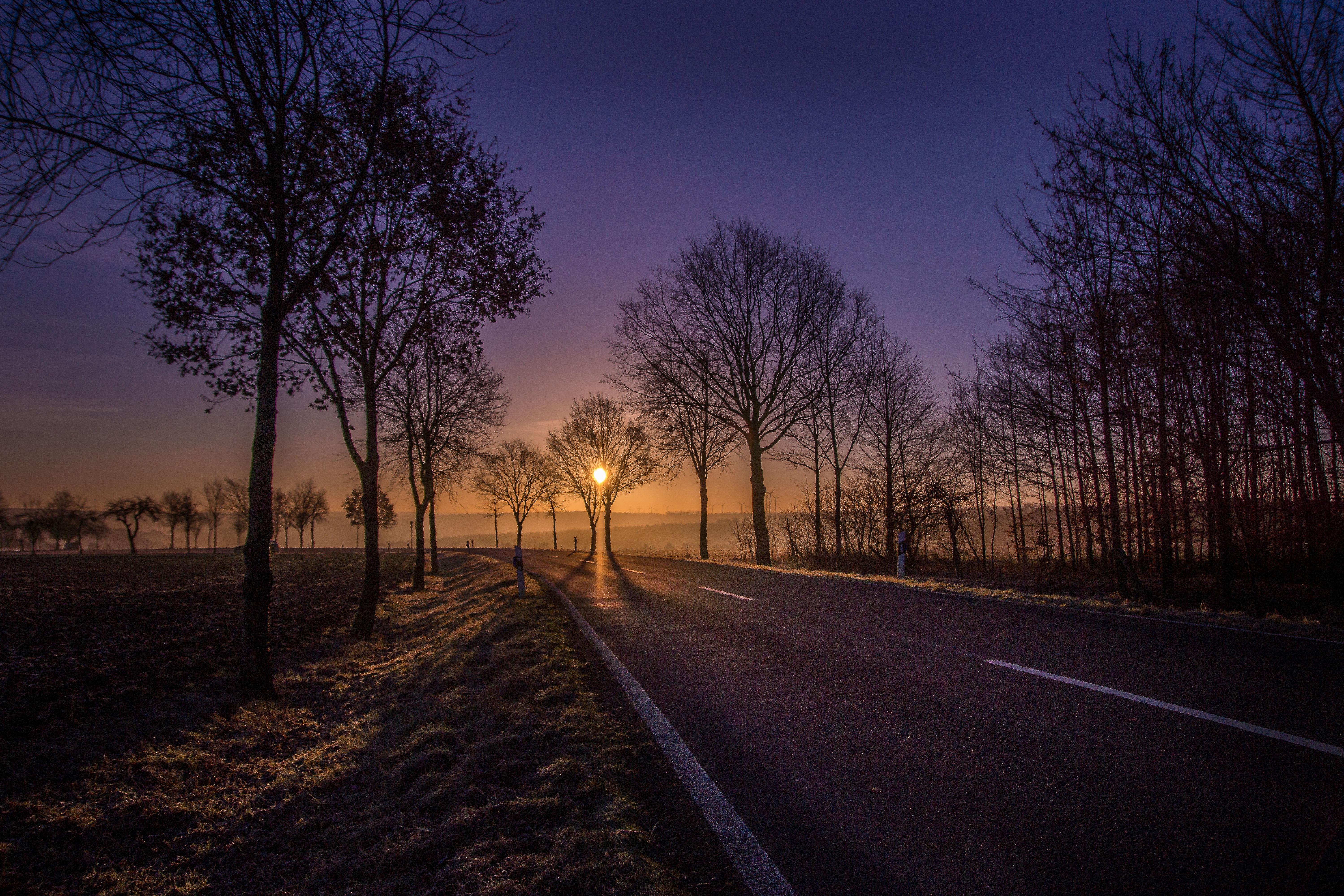 Wallpapers road trees twilight on the desktop