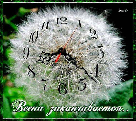 Postcard on the theme dandelion clock spring download for free