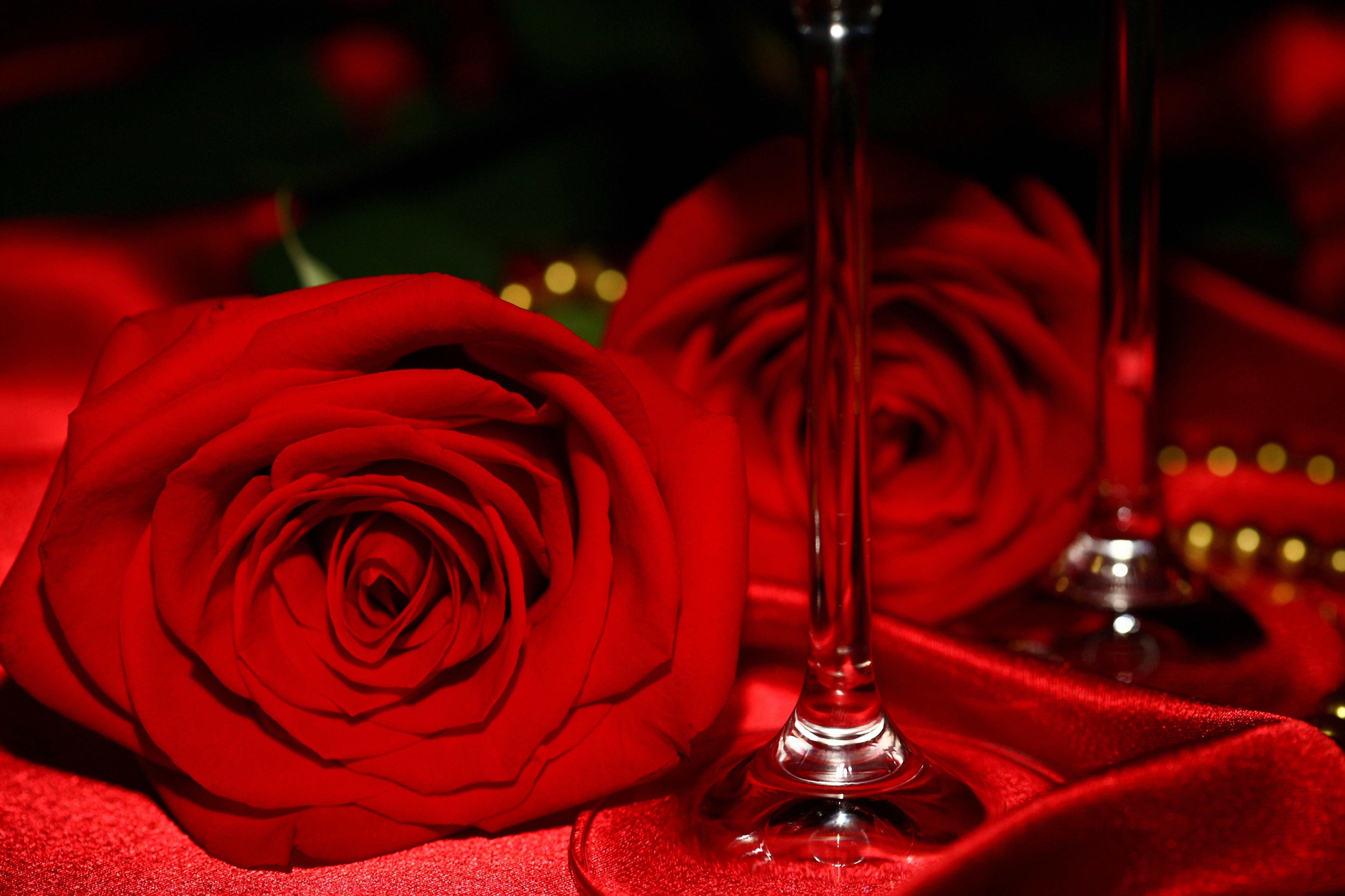 Обои лепестки роз флора красные розы на рабочий стол