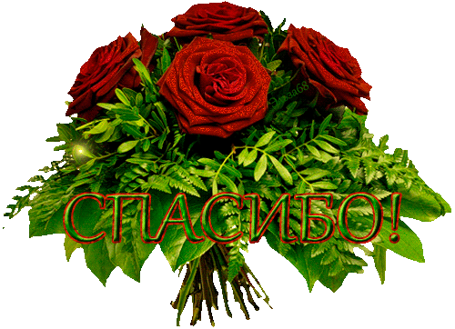 主题为玫瑰花束 动画 谢忱的明信片免费下载