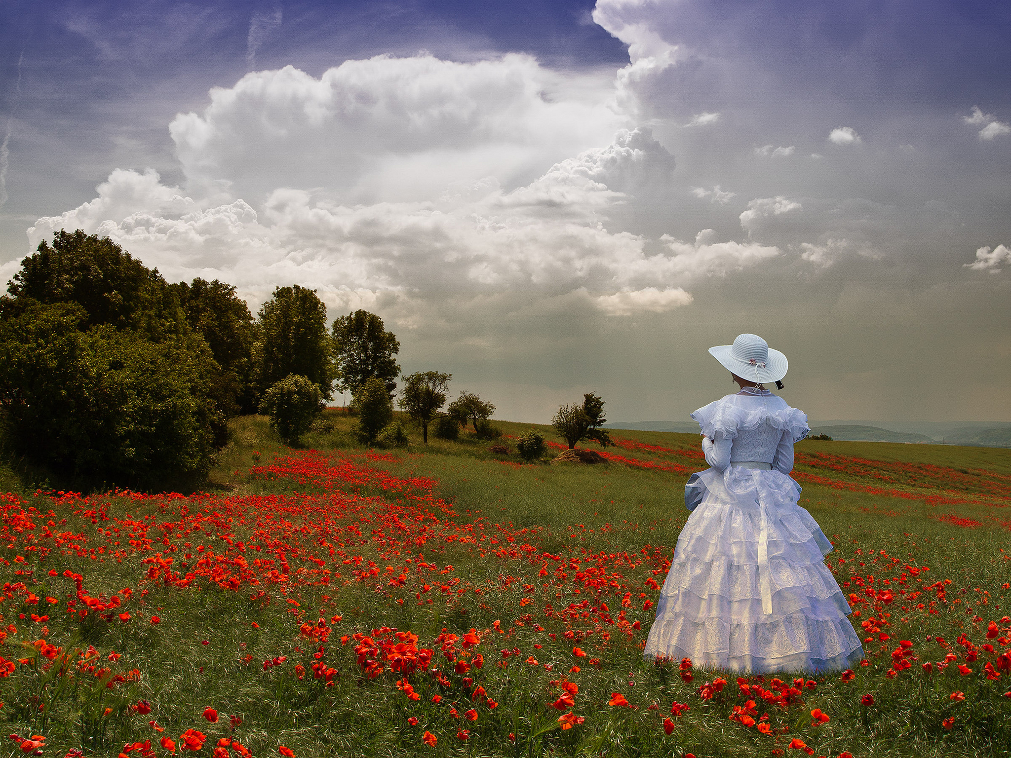 Обои Lady in Poppy Field поле леди на рабочий стол