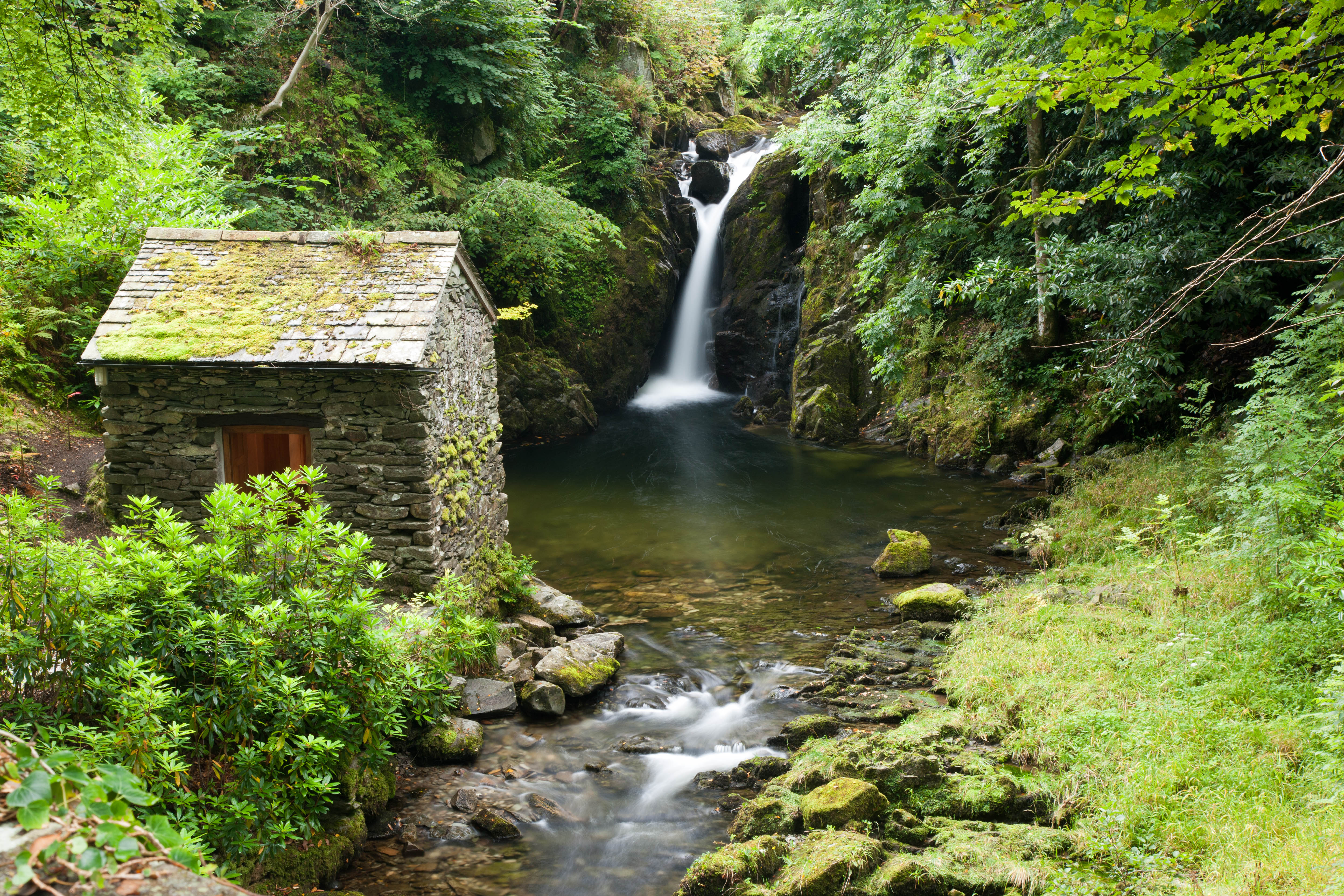 Free photo Cabin in the deep woods