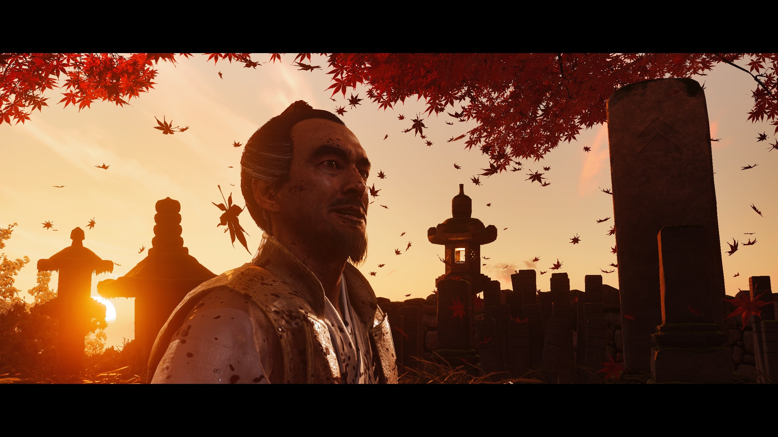 免费照片对马岛的幽灵9