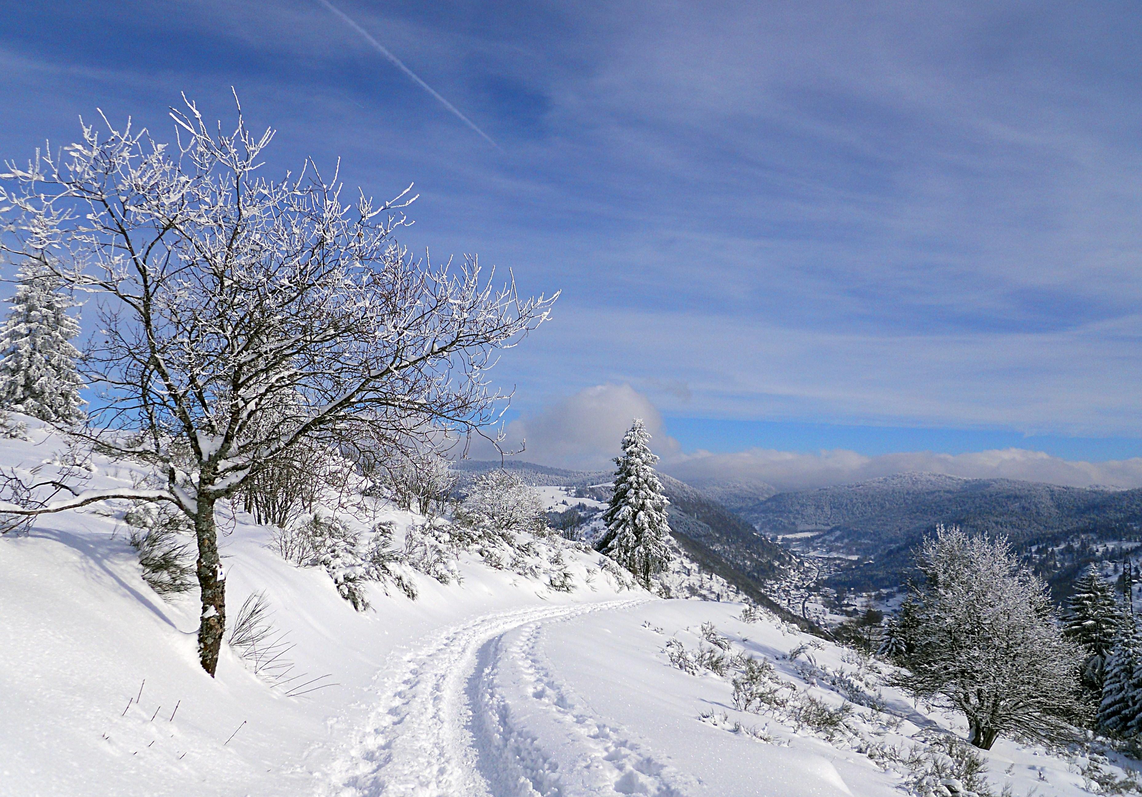 Wallpapers France La Bresse winter on the desktop