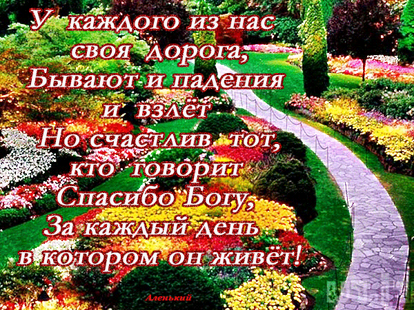 Postcard on the theme flowerbed nature request download for free