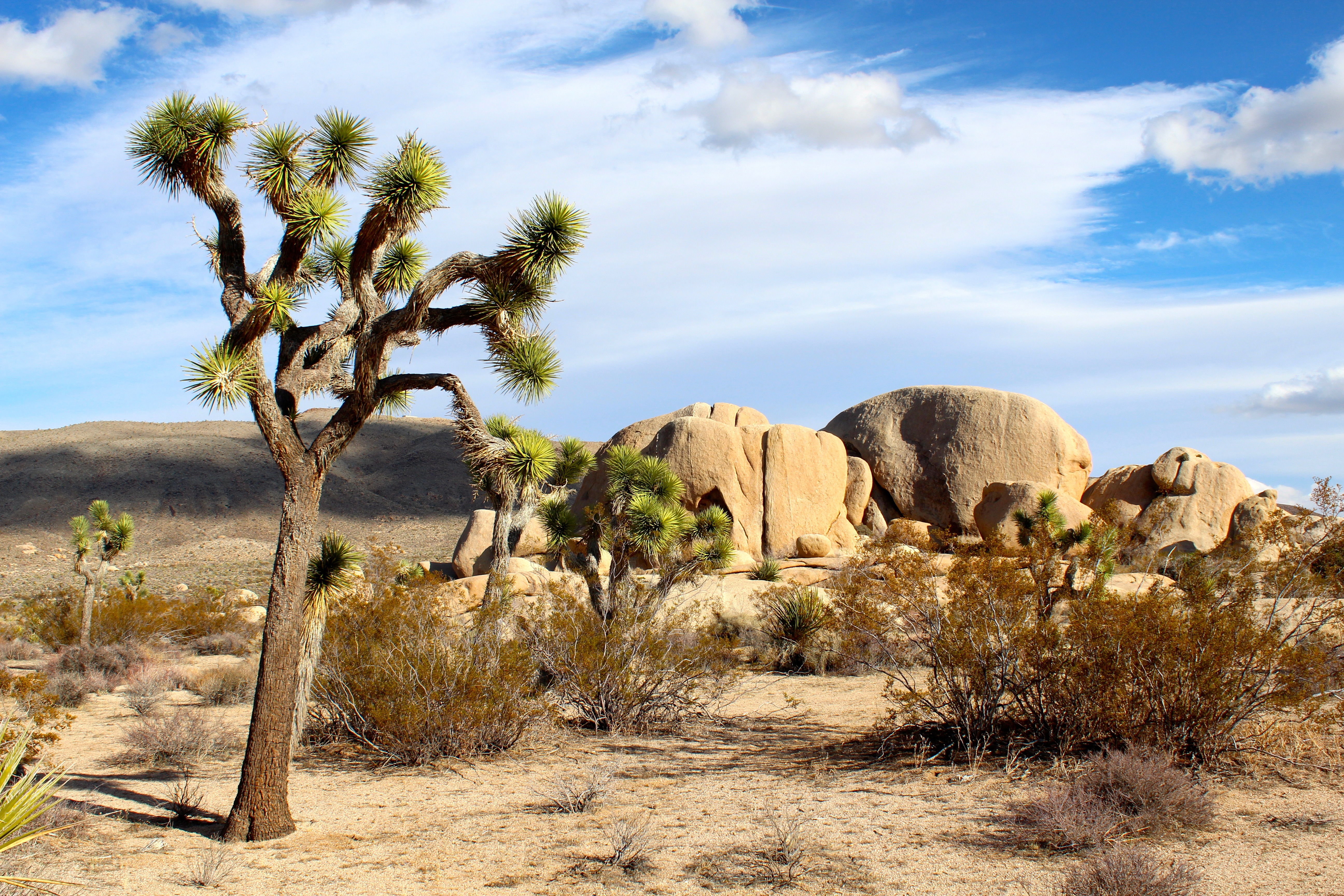 Wallpapers landscapes Wadi wilderness on the desktop