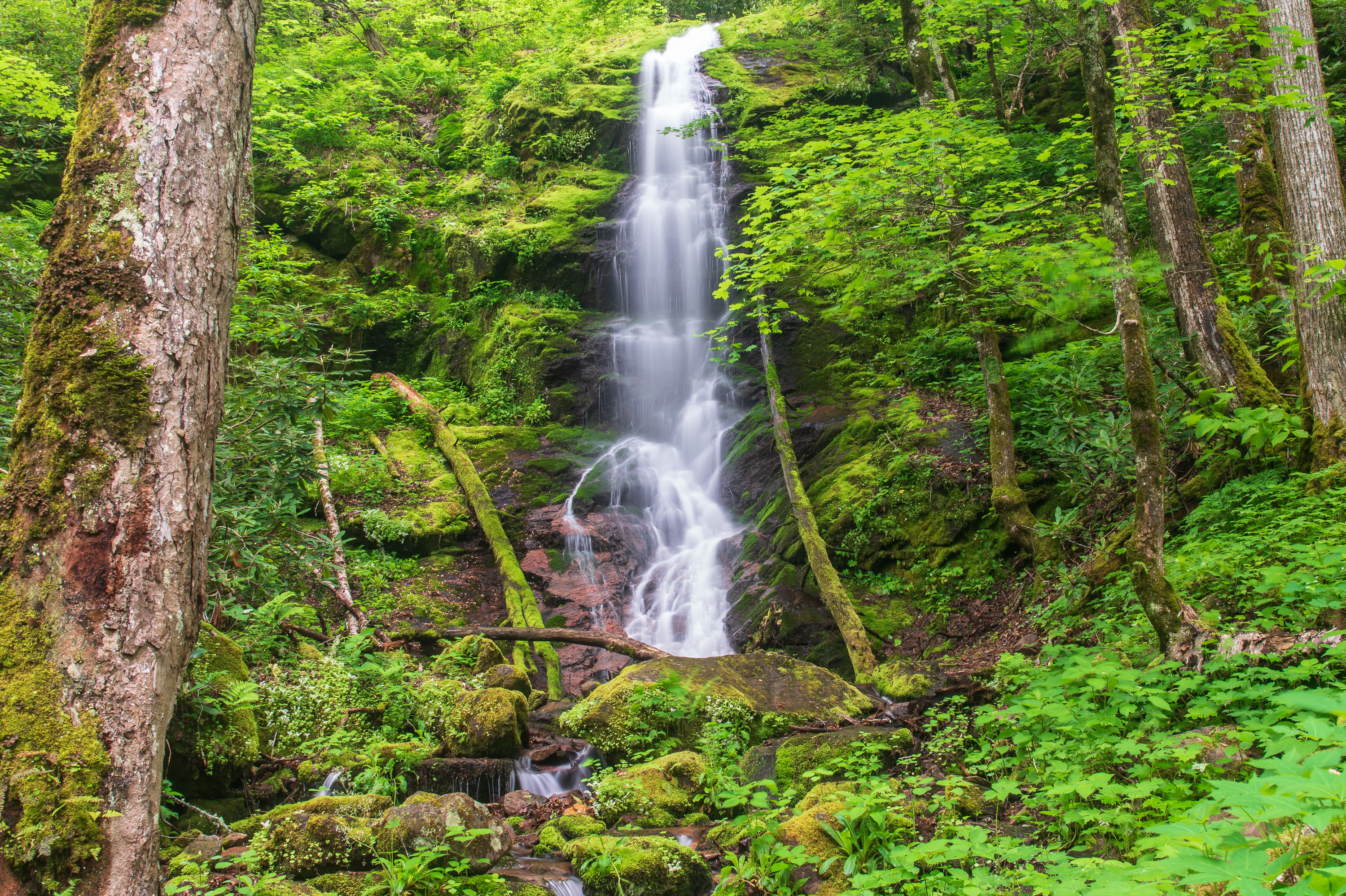 Обои Little Fall Branch Falls Pisgah National Forest North Carolina на рабочий стол