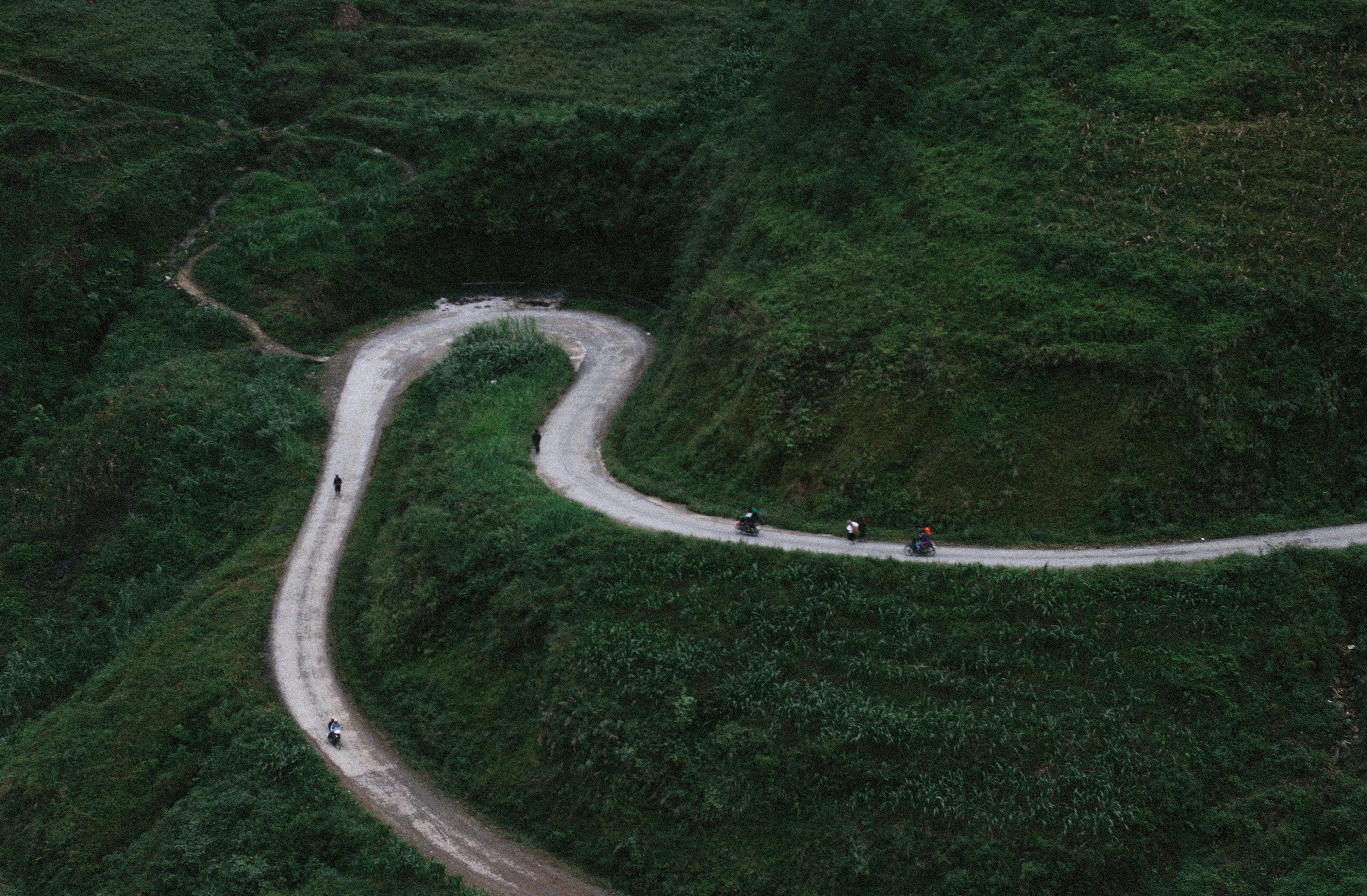 Wallpapers mountains road green on the desktop