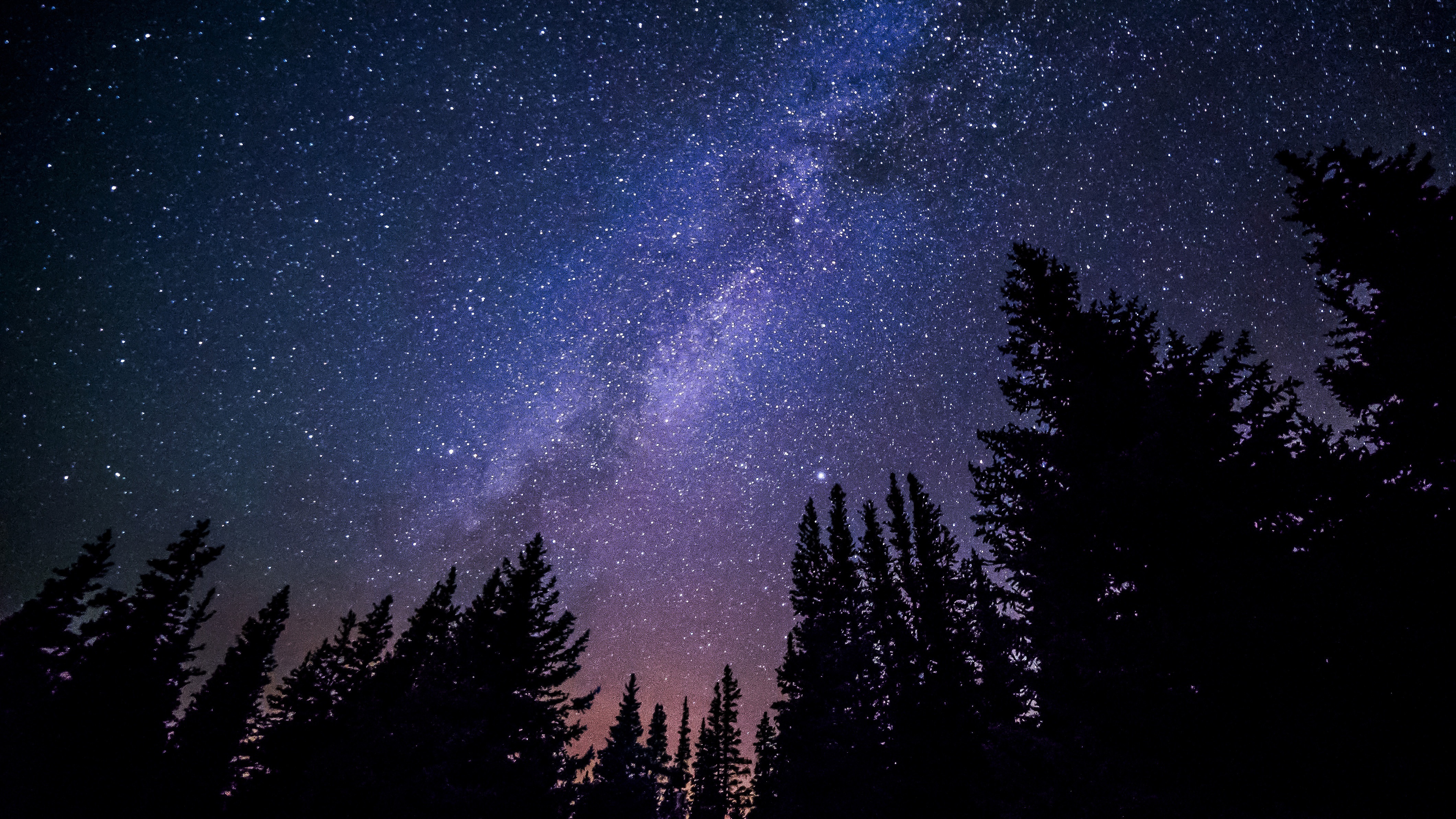 Free photo Beautiful starry sky in the forest