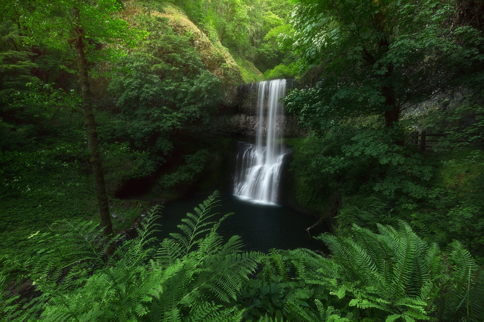 Обои Silver falls state park лесной водопад лес на рабочий стол