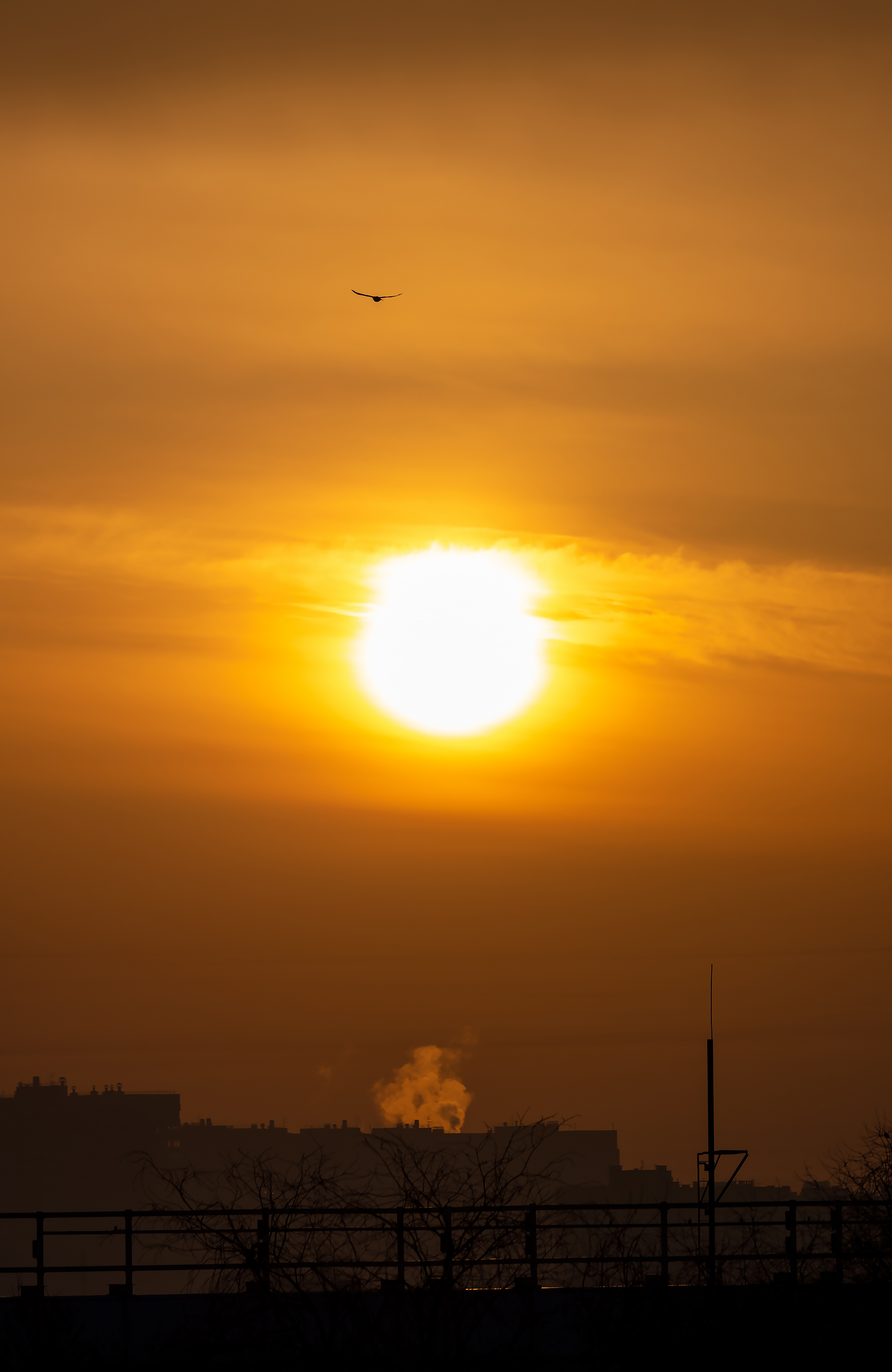 Free photo The March sun after sunrise