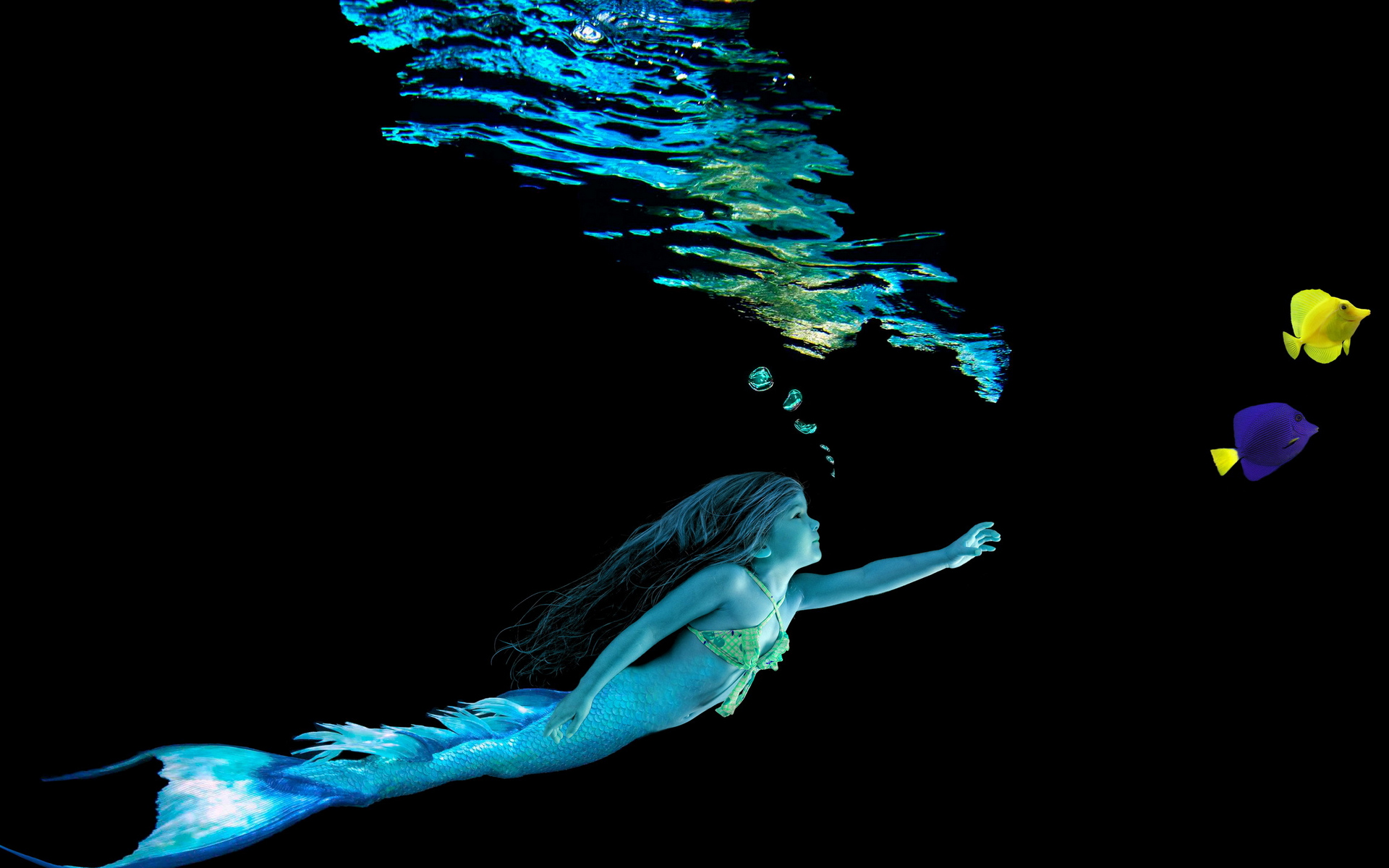 Wallpapers girl mermaid tail on the desktop