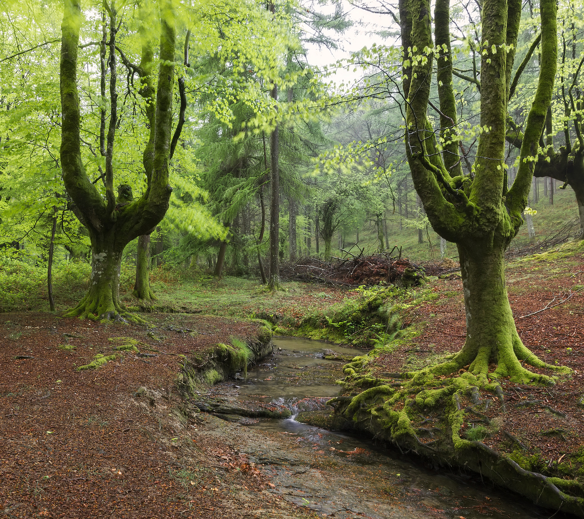 Wallpapers Spain Basque Country nature on the desktop