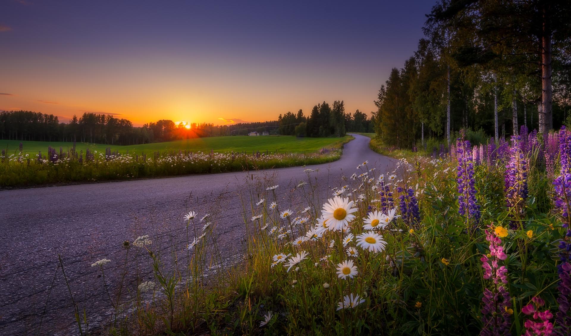 Wallpapers Finland road flowers on the desktop