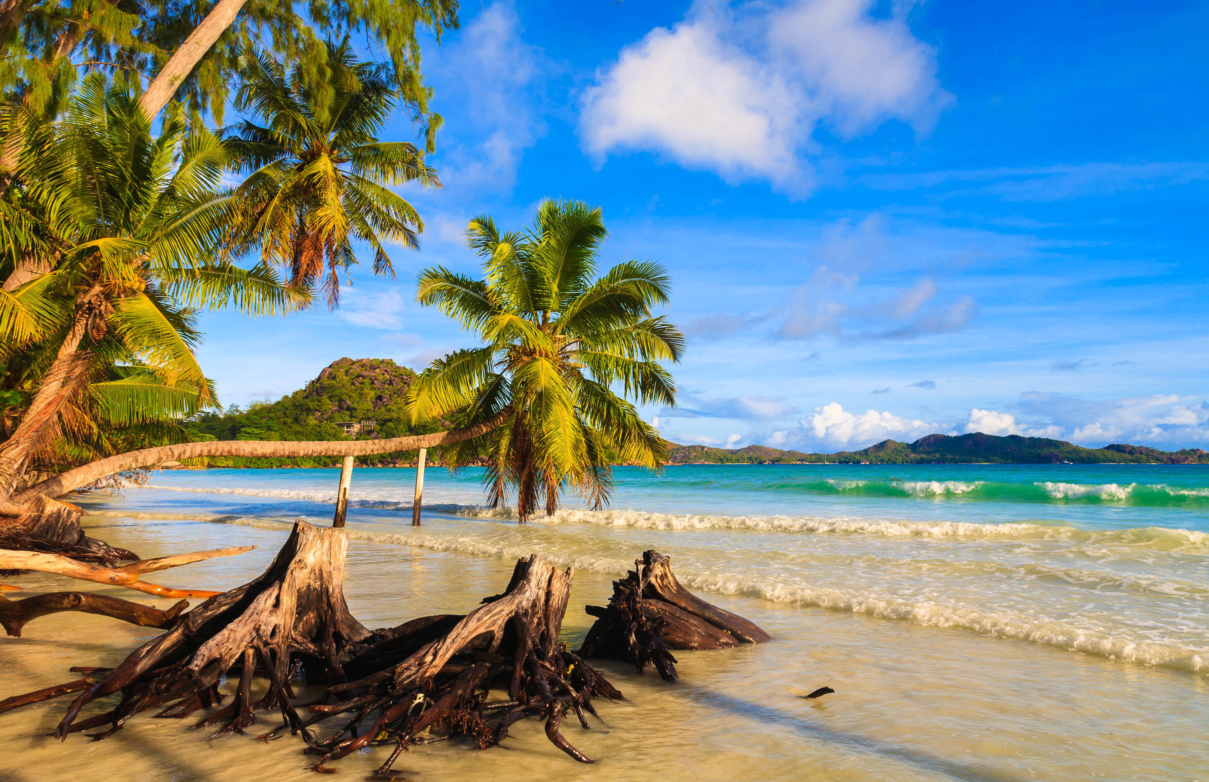 Wallpapers Praslin Seychelles sea on the desktop