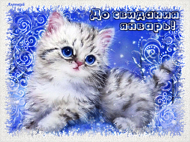 主题为冬季 猫咪 小猫的明信片免费下载